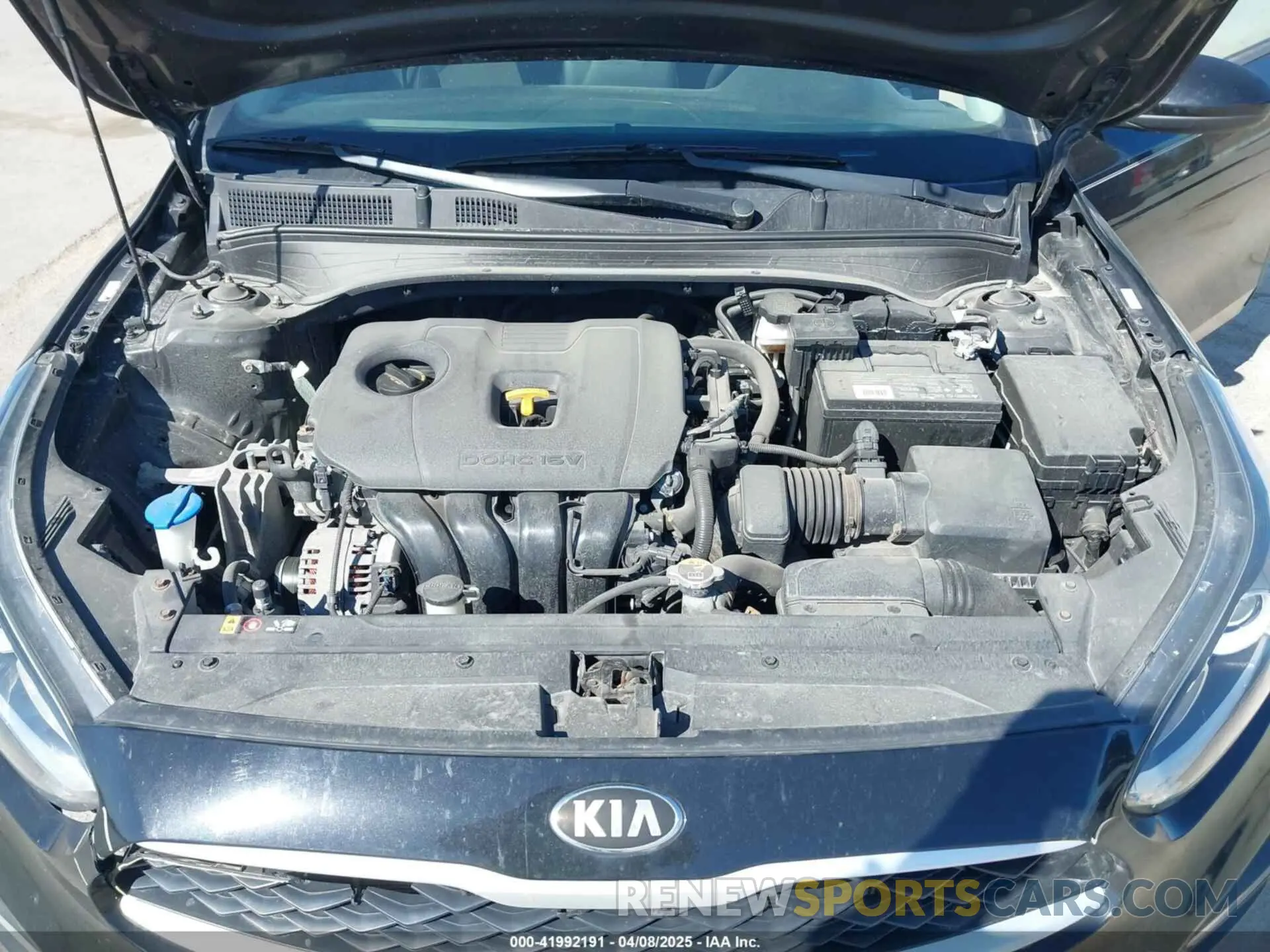 10 fotografías del automóvil dañado 3KPF24AD2KE095541 KIA FORTE 2019