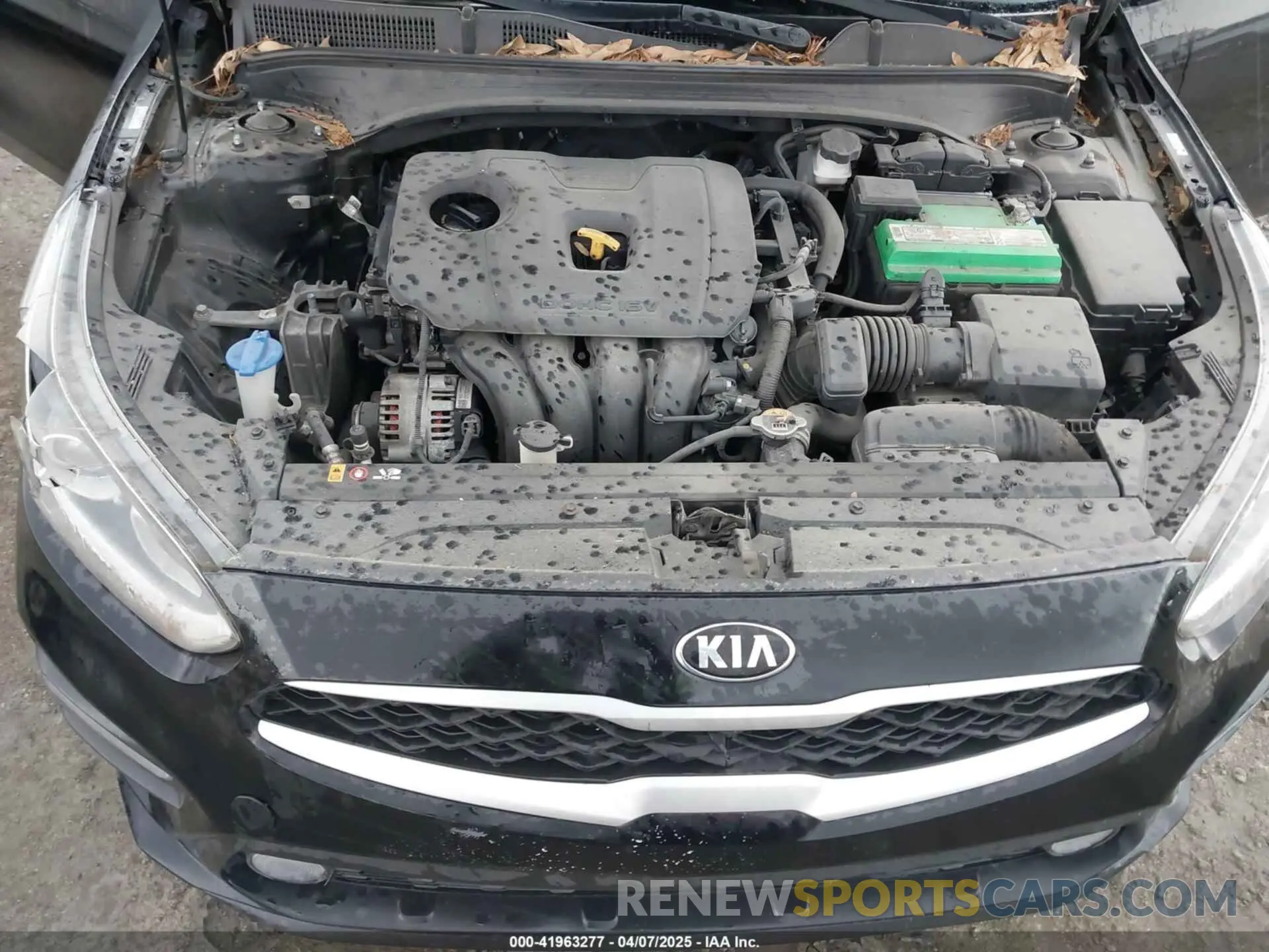 10 fotografías del automóvil dañado 3KPF24AD2KE099198 KIA FORTE 2019