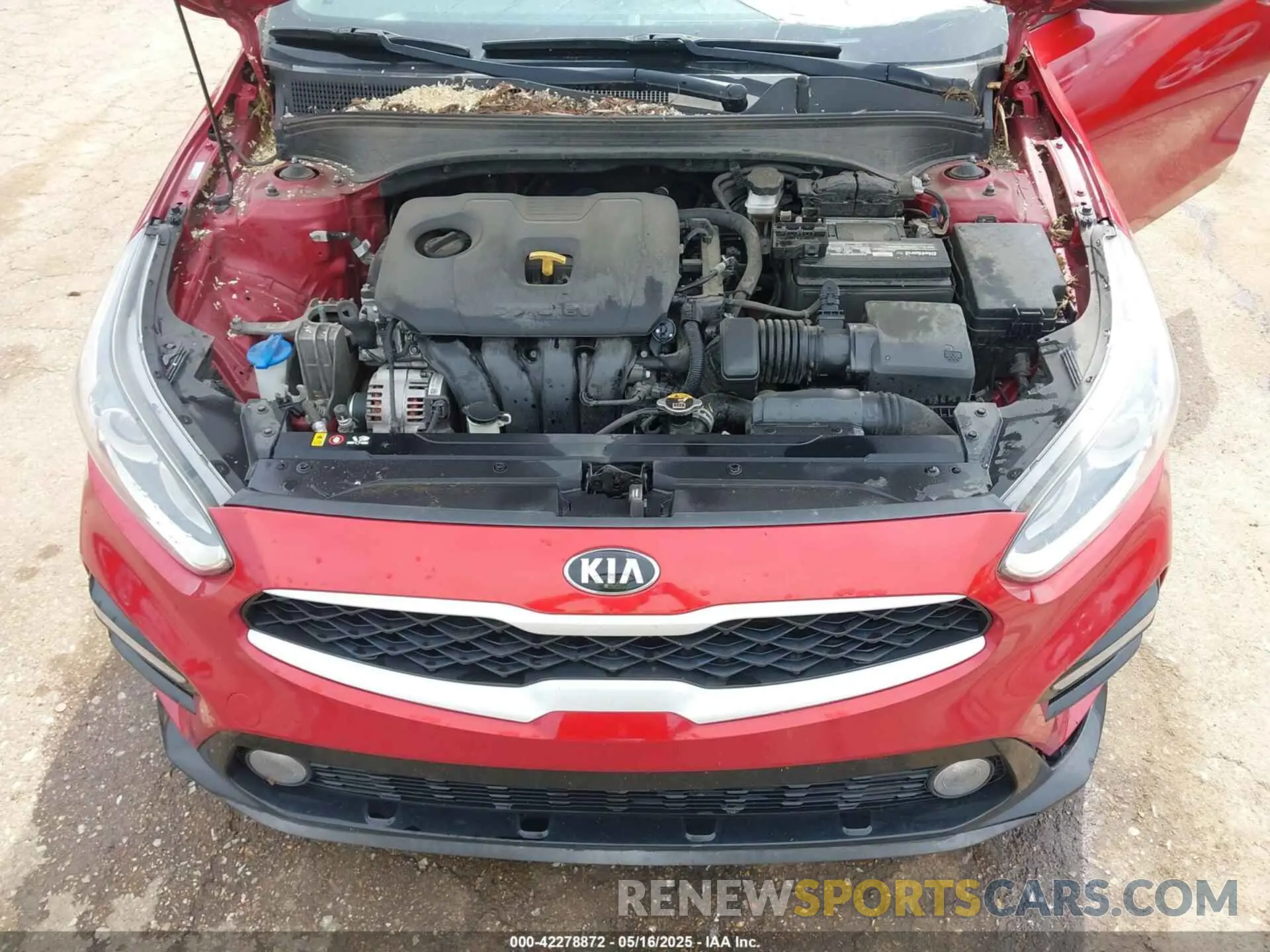 10 fotografías del automóvil dañado 3KPF24AD4KE063447 KIA FORTE 2019