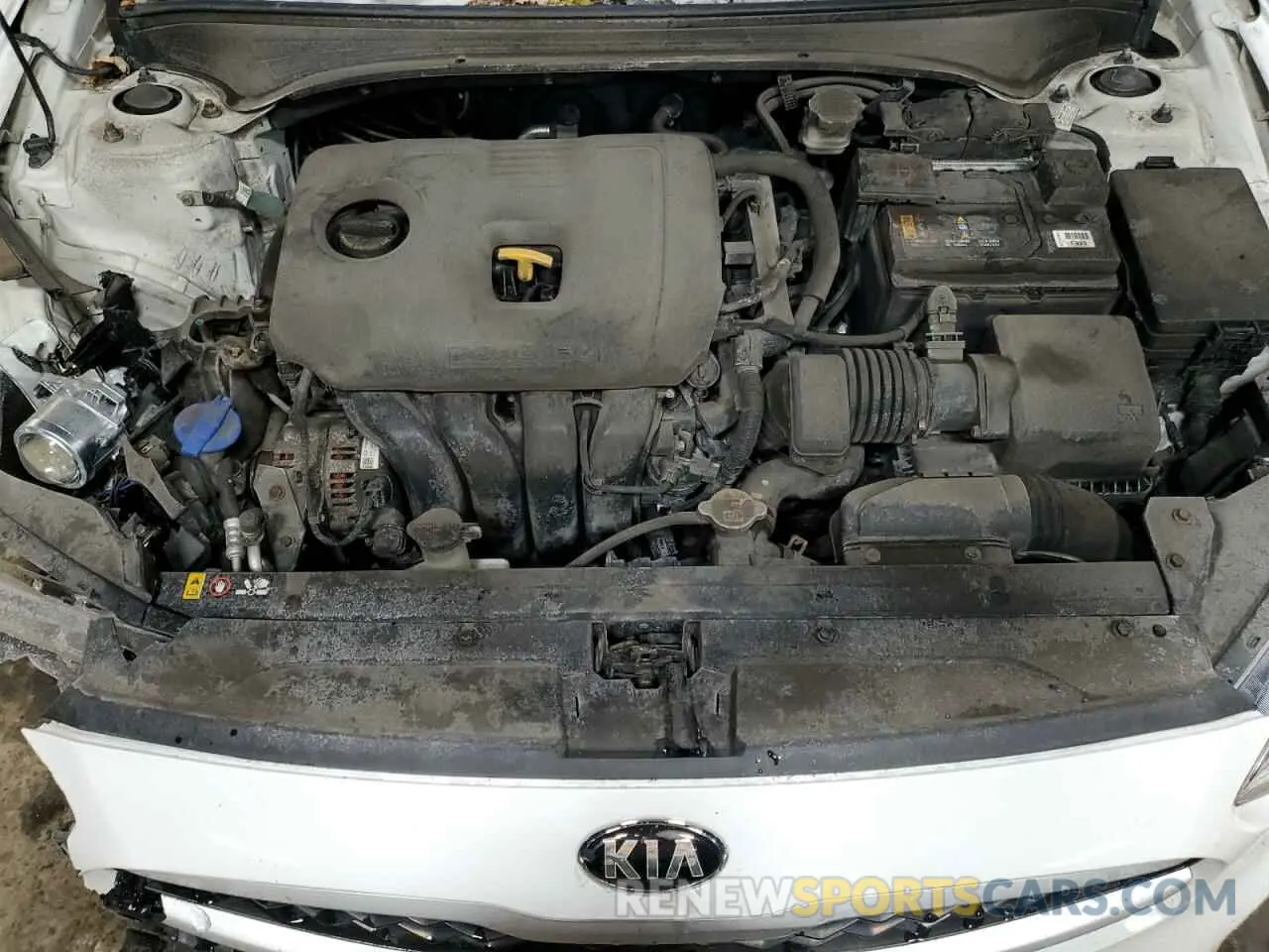 12 fotografías del automóvil dañado 3KPF24AD6KE047119 KIA FORTE 2019