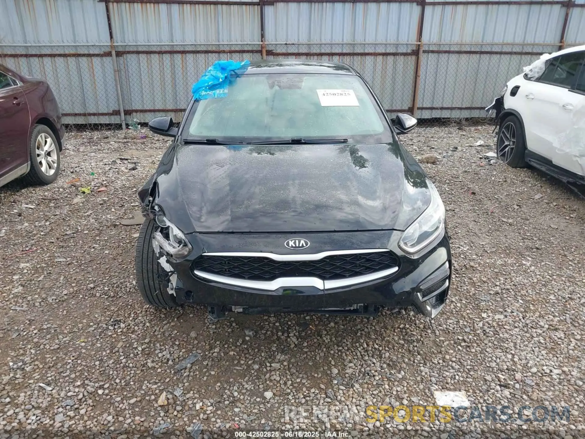 12 fotografías del automóvil dañado 3KPF24AD7KE137461 KIA FORTE 2019
