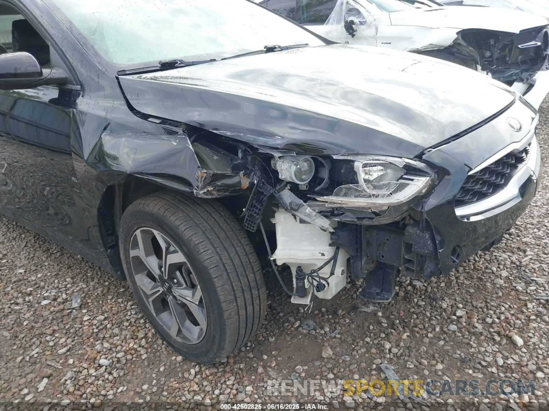 17 fotografías del automóvil dañado 3KPF24AD7KE137461 KIA FORTE 2019