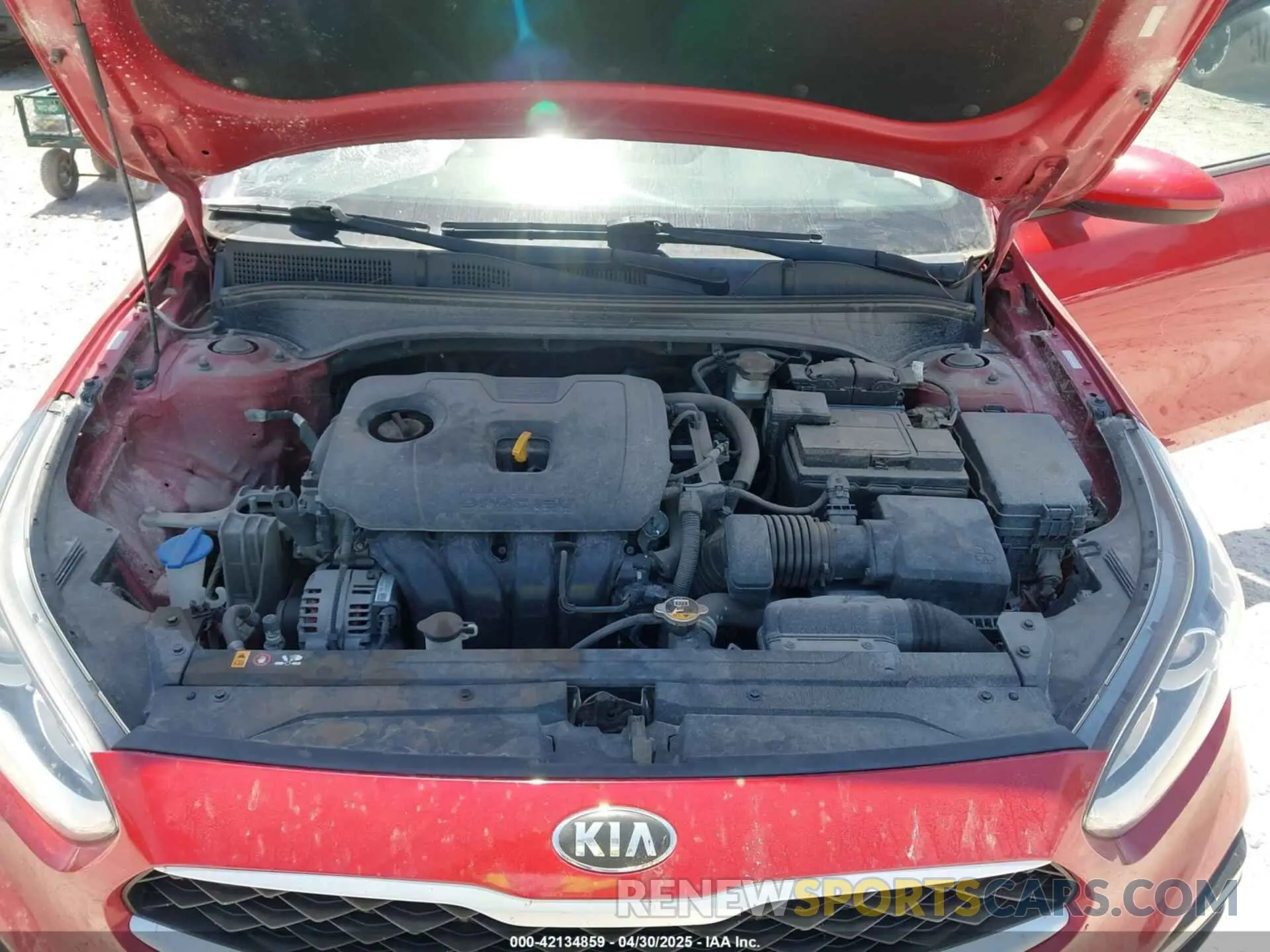 10 fotografías del automóvil dañado 3KPF24ADXKE096145 KIA FORTE 2019