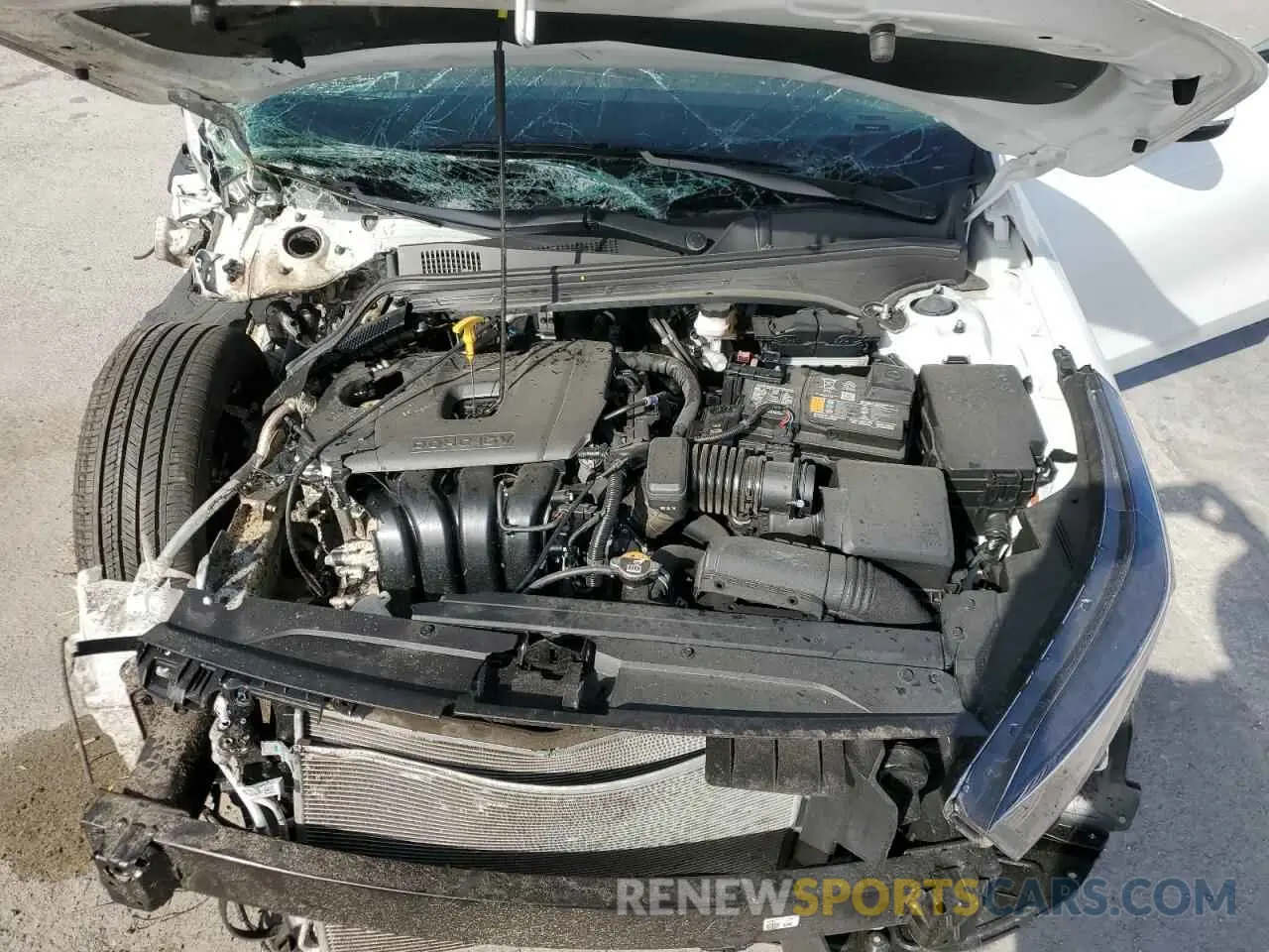 13 fotografías del automóvil dañado 3KPF24AD7RE733115 KIA FORTE 2024