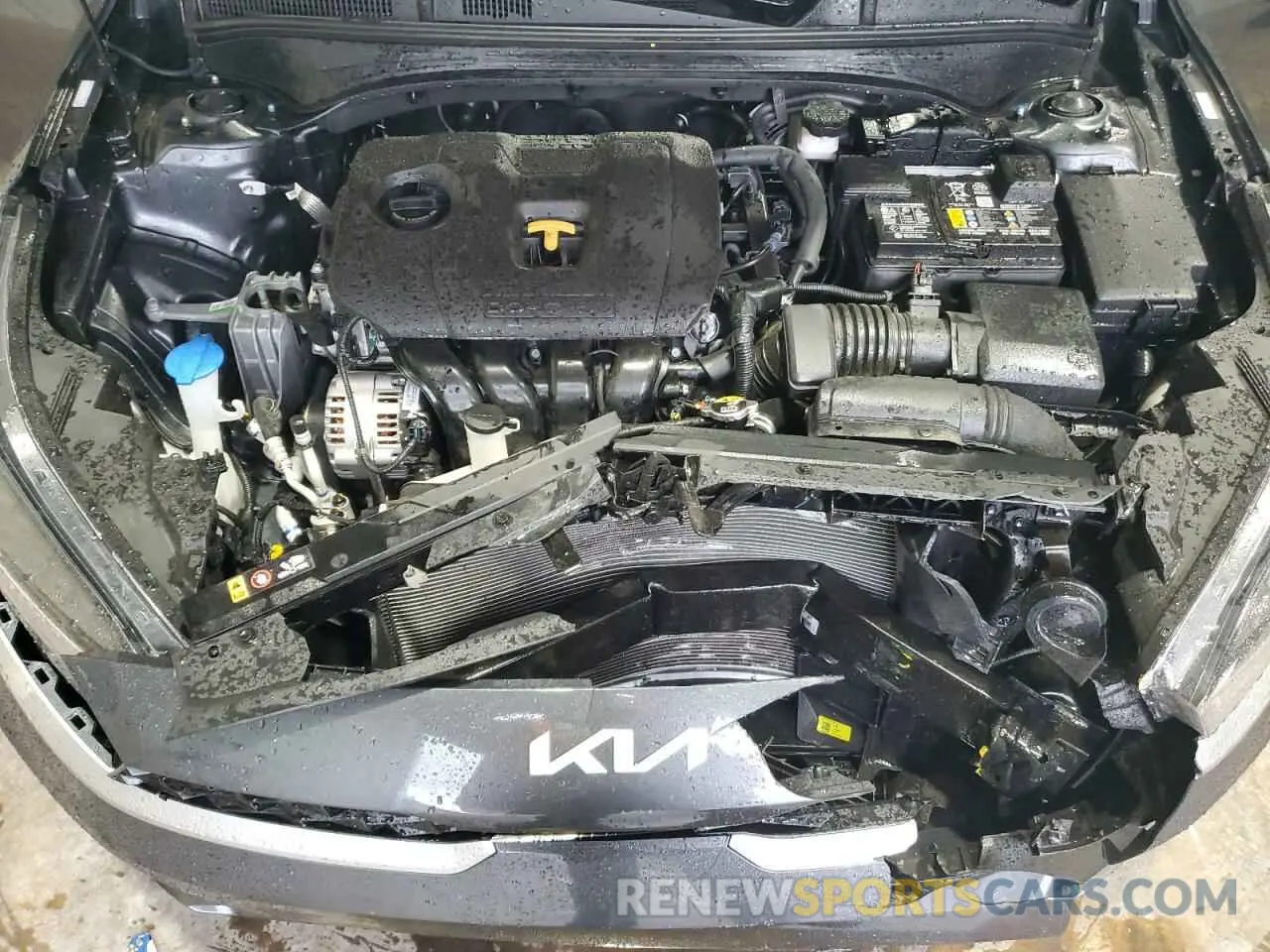 11 fotografías del automóvil dañado 3KPF24ADXRE830499 KIA FORTE 2024