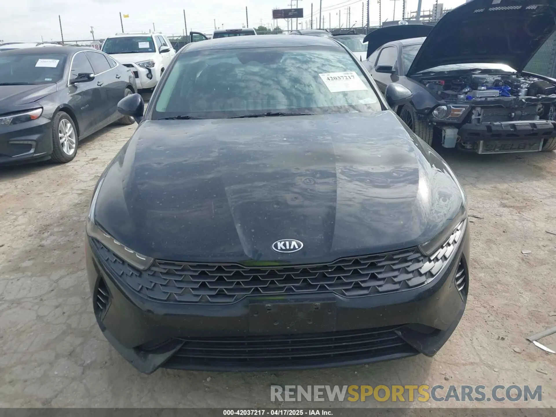12 fotografías del automóvil dañado 5XXG14J23MG051922 KIA K5 2021