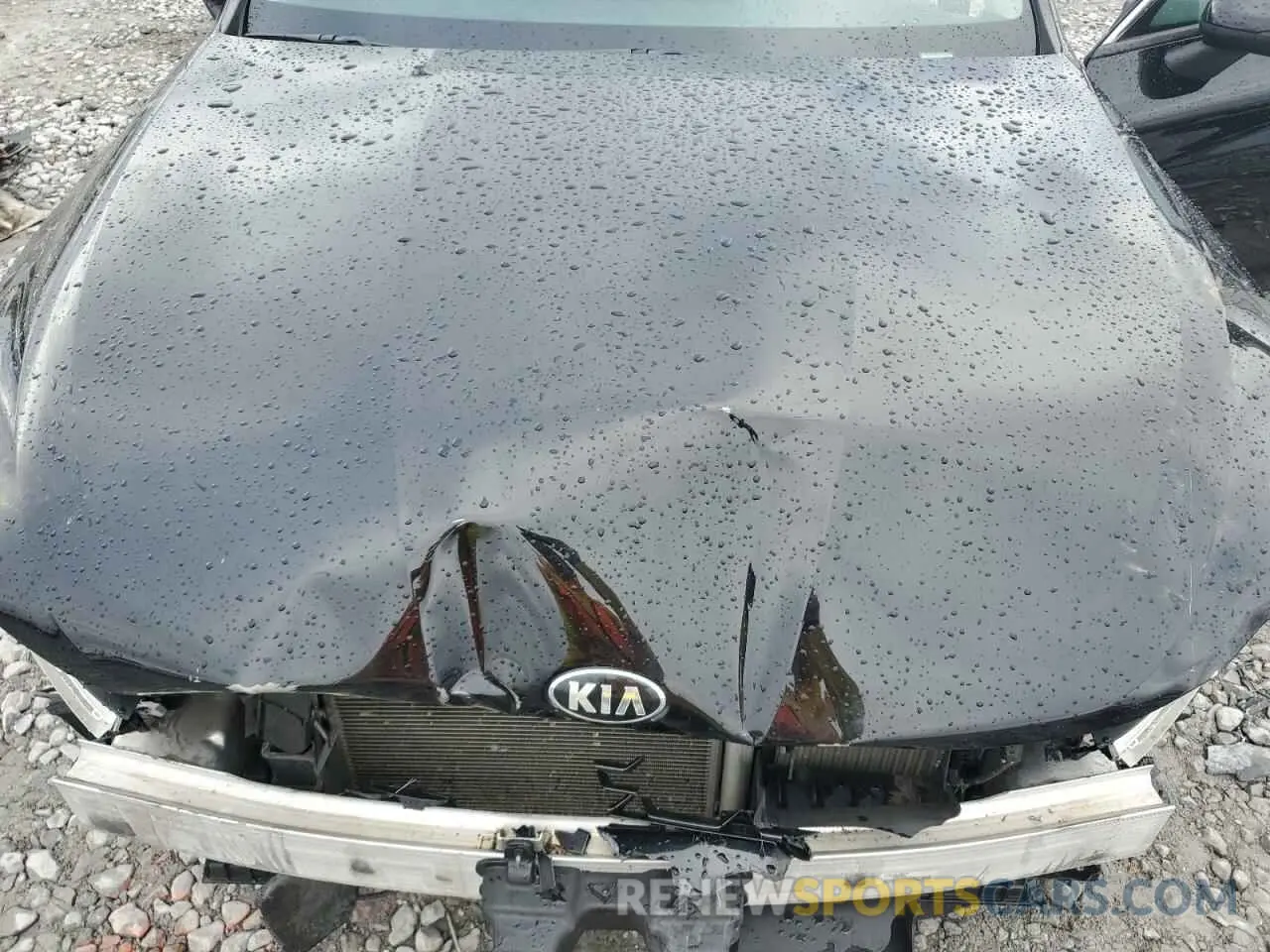 12 fotografías del automóvil dañado 5XXG24J23MG004483 KIA K5 2021
