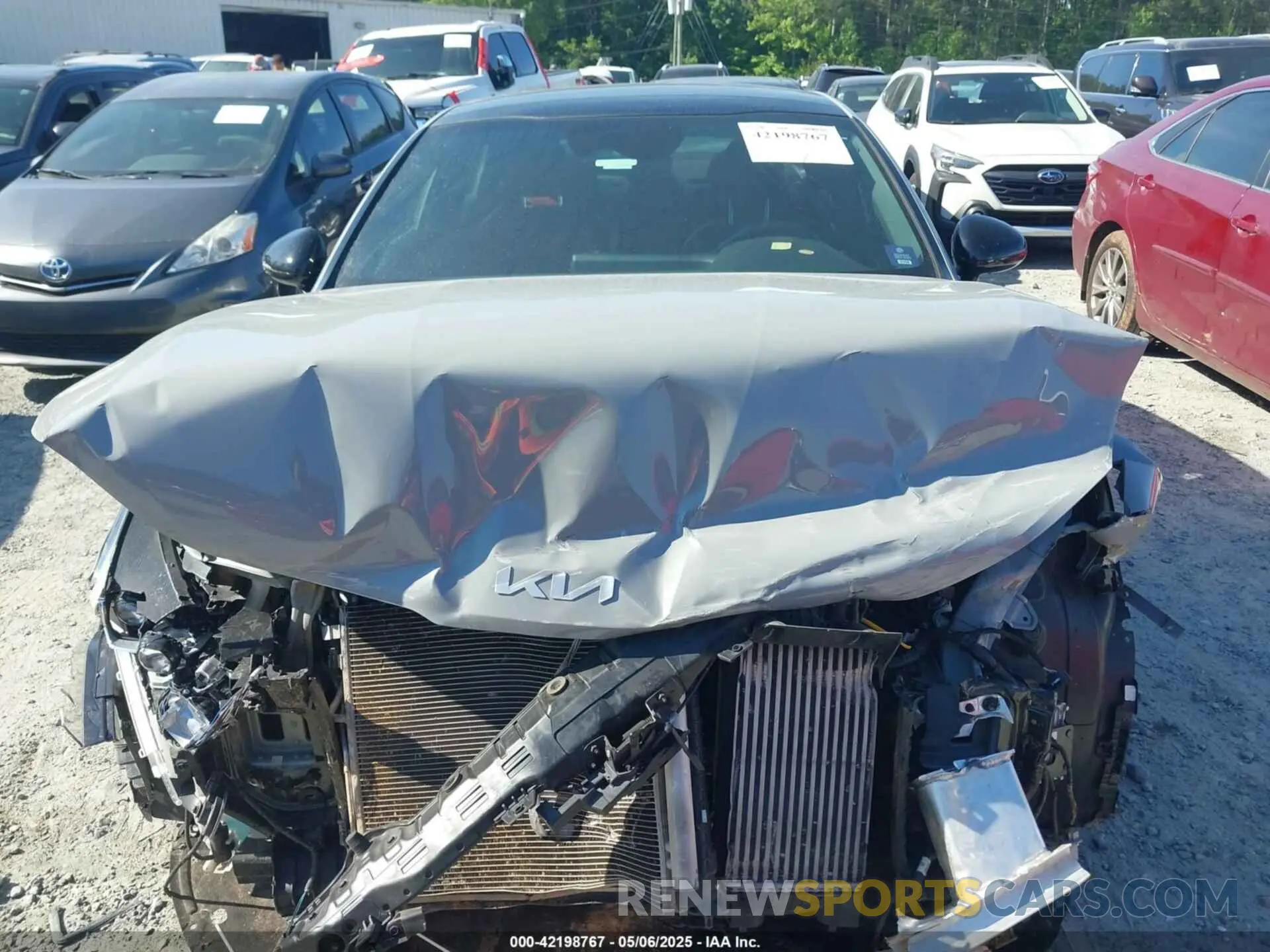 12 fotografías del automóvil dañado 5XXG64J26NG160961 KIA K5 2022