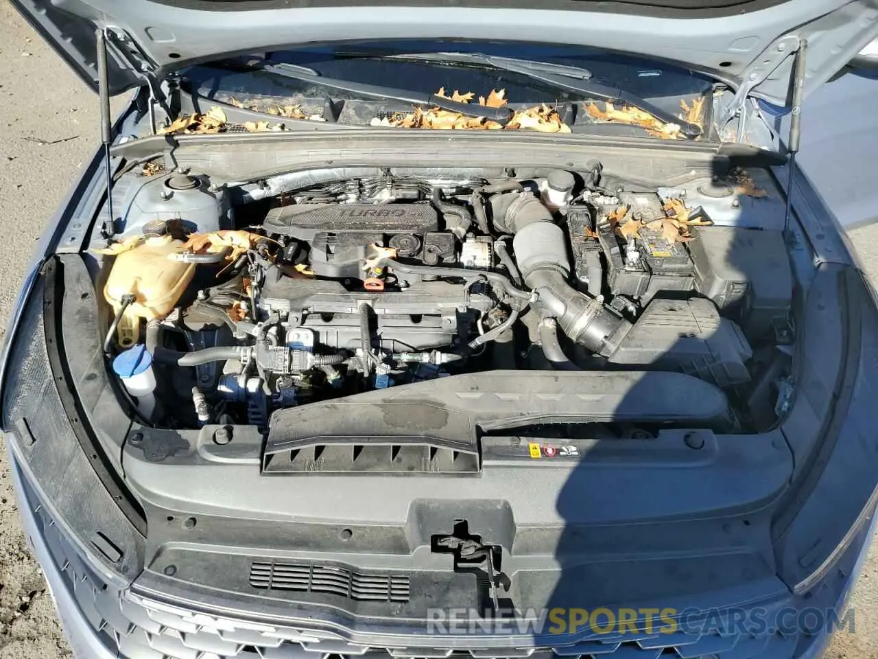 11 fotografías del automóvil dañado 5XXG14J29PG190151 KIA K5 2023