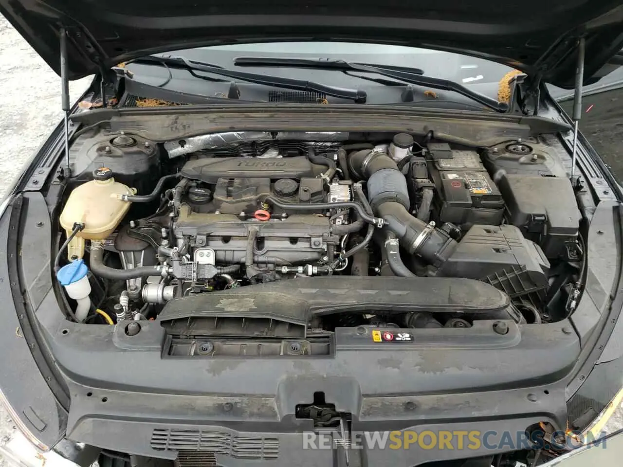 11 fotografías del automóvil dañado 5XXG14J29PG208602 KIA K5 2023