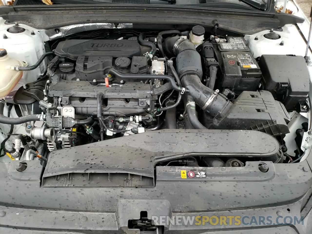 11 fotografías del automóvil dañado 5XXG64J23PG223534 KIA K5 2023