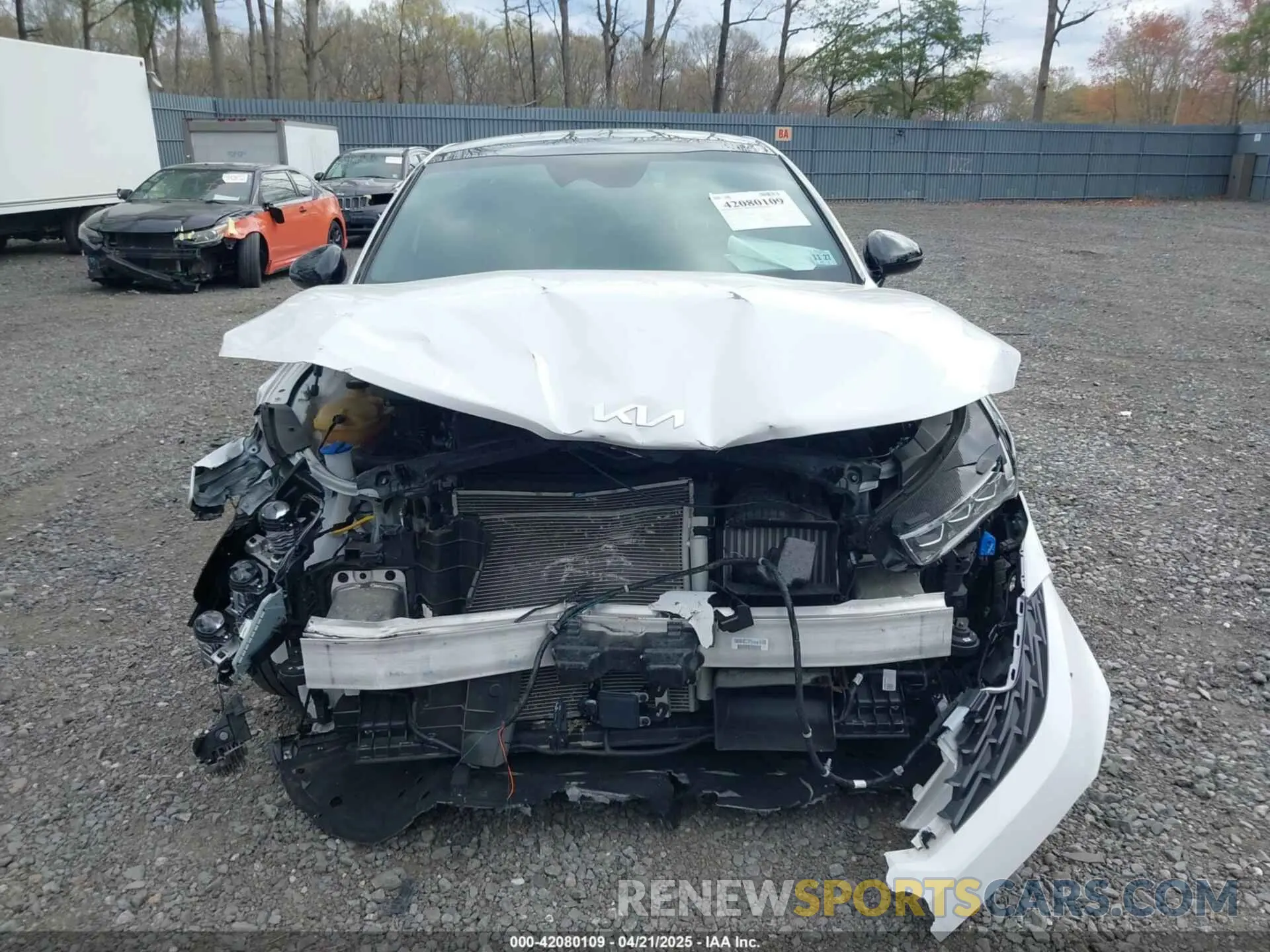 12 fotografías del automóvil dañado 5XXG64J27PG187041 KIA K5 2023