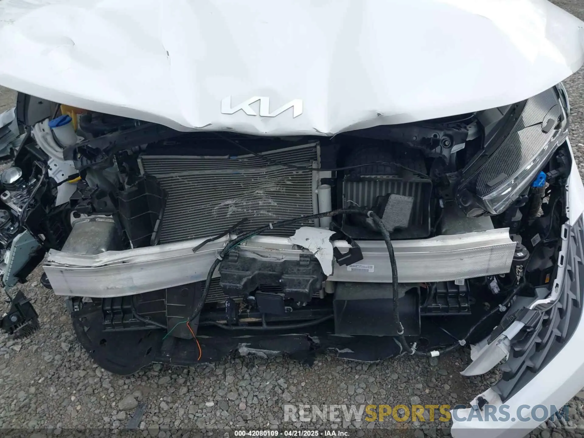 6 fotografías del automóvil dañado 5XXG64J27PG187041 KIA K5 2023
