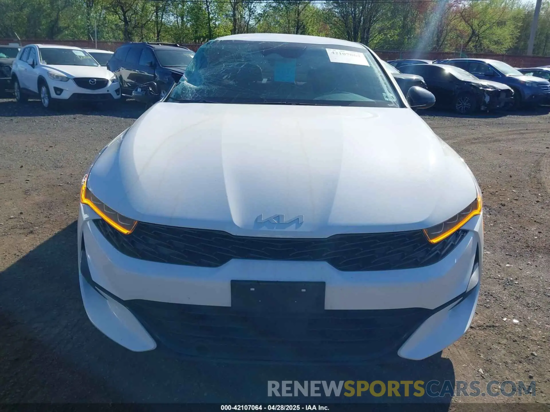 12 fotografías del automóvil dañado 5XXG64J2XPG217746 KIA K5 2023
