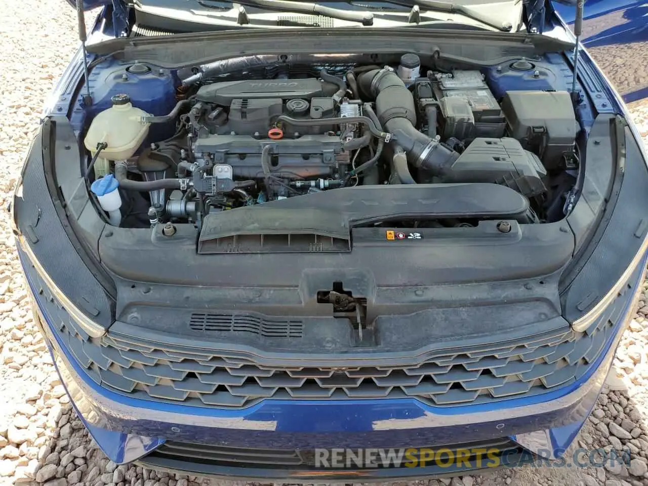 12 fotografías del automóvil dañado 5XXG34J2XRG258065 KIA K5 2024