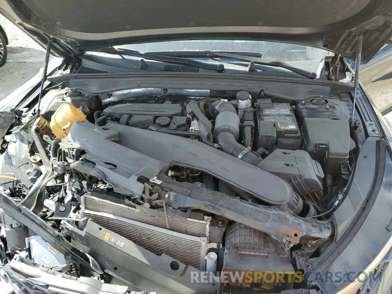 11 fotografías del automóvil dañado 5XXG64J21RG261024 KIA K5 2024