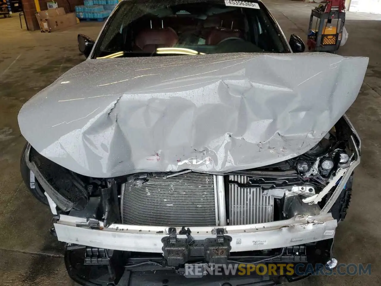 12 fotografías del automóvil dañado 5XXG64J24RG250826 KIA K5 2024