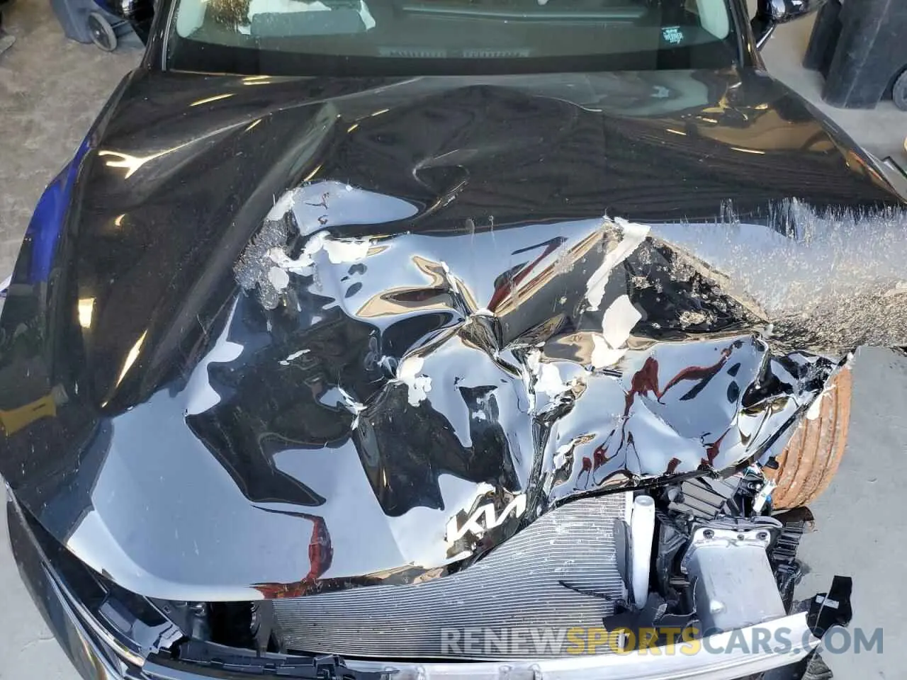 13 fotografías del automóvil dañado KNAG24J72S5305854 KIA K5 2025
