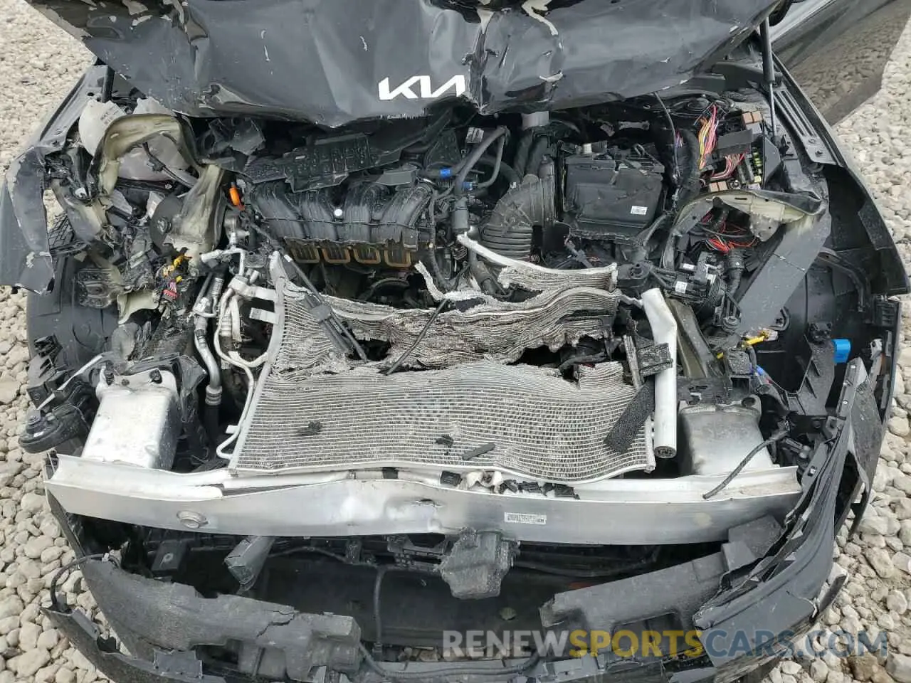 12 fotografías del automóvil dañado KNAG64J78S5310271 KIA K5 2025
