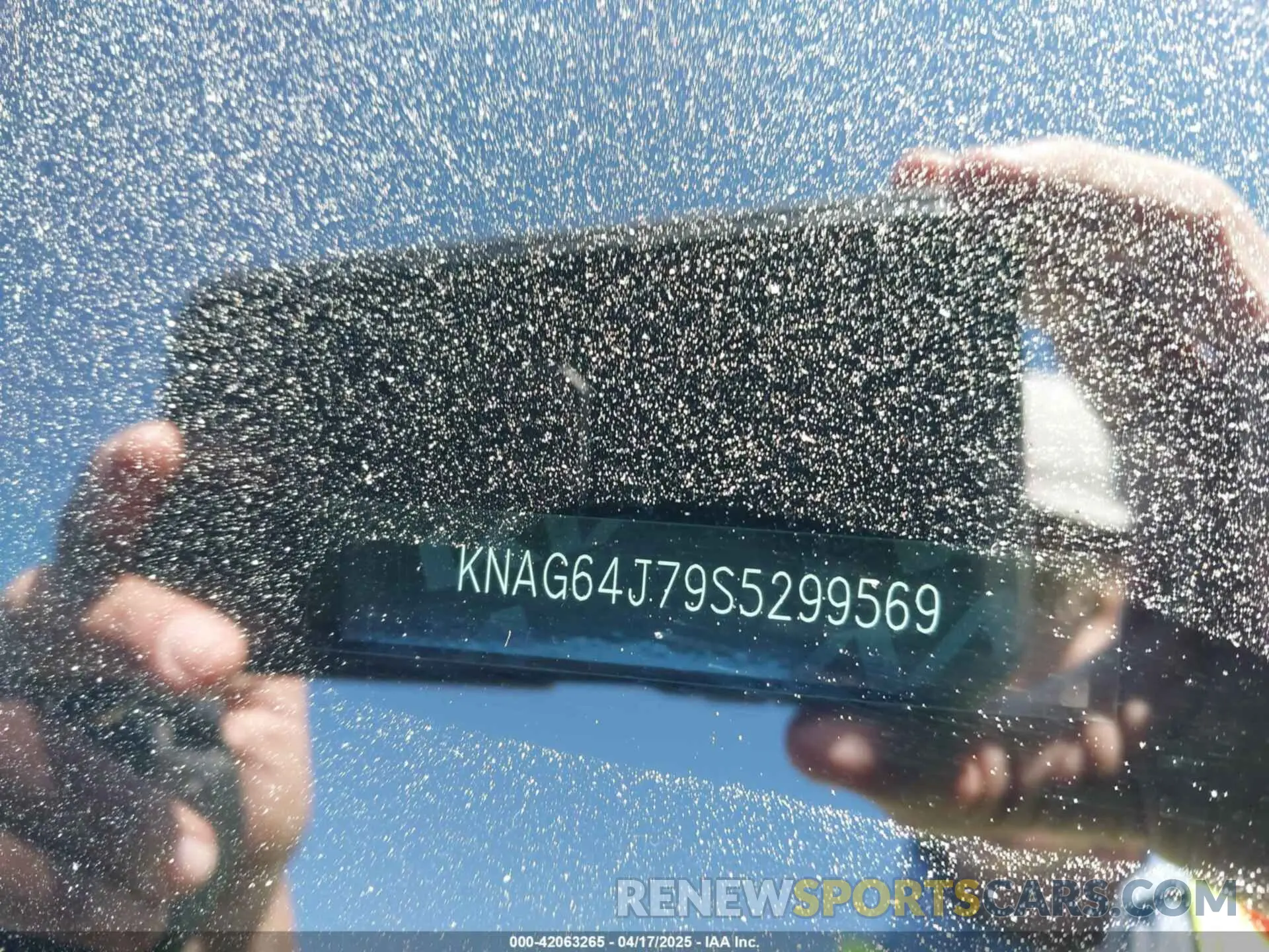 9 fotografías del automóvil dañado KNAG64J79S5299569 KIA K5 2025