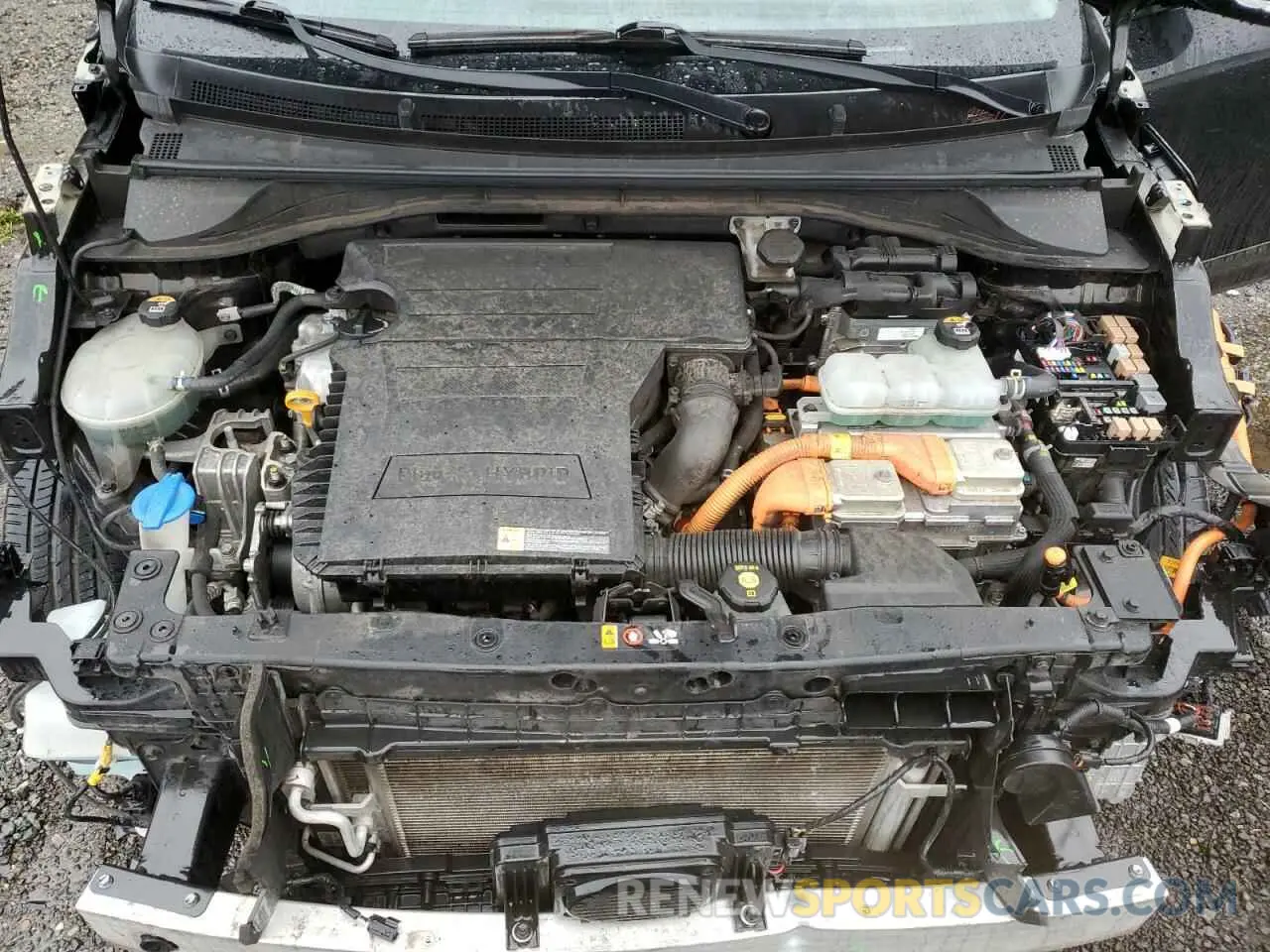 12 fotografías del automóvil dañado KNDCC3LD1K5303251 KIA NIRO 2019