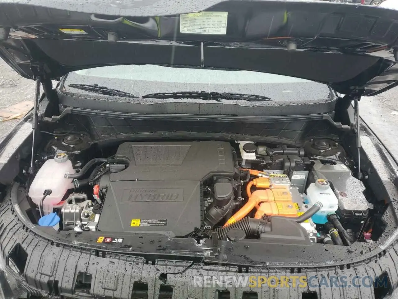14 fotografías del automóvil dañado KNDCS3LF9S5239657 KIA NIRO 2025
