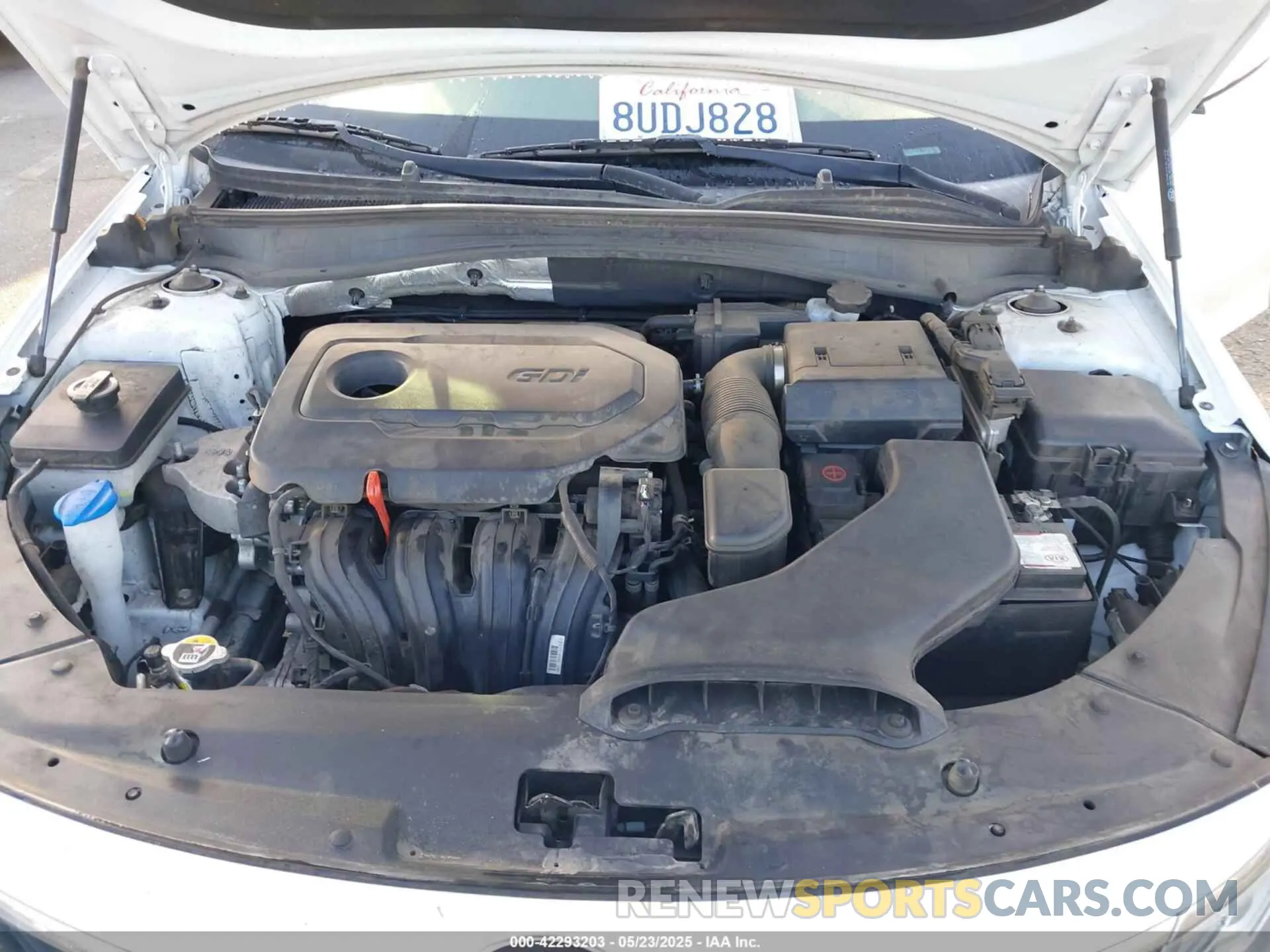 10 fotografías del automóvil dañado 5XXGT4L30KG340544 KIA OPTIMA 2019