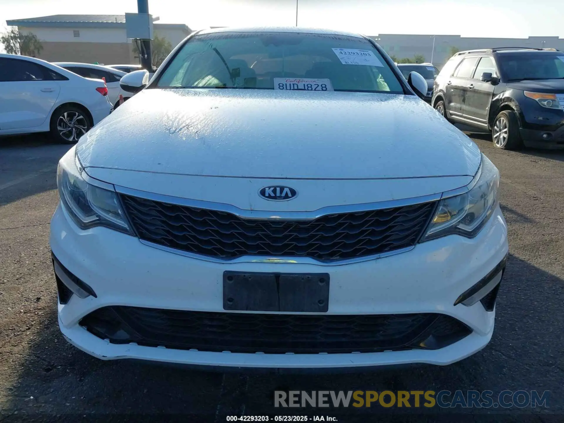 12 fotografías del automóvil dañado 5XXGT4L30KG340544 KIA OPTIMA 2019