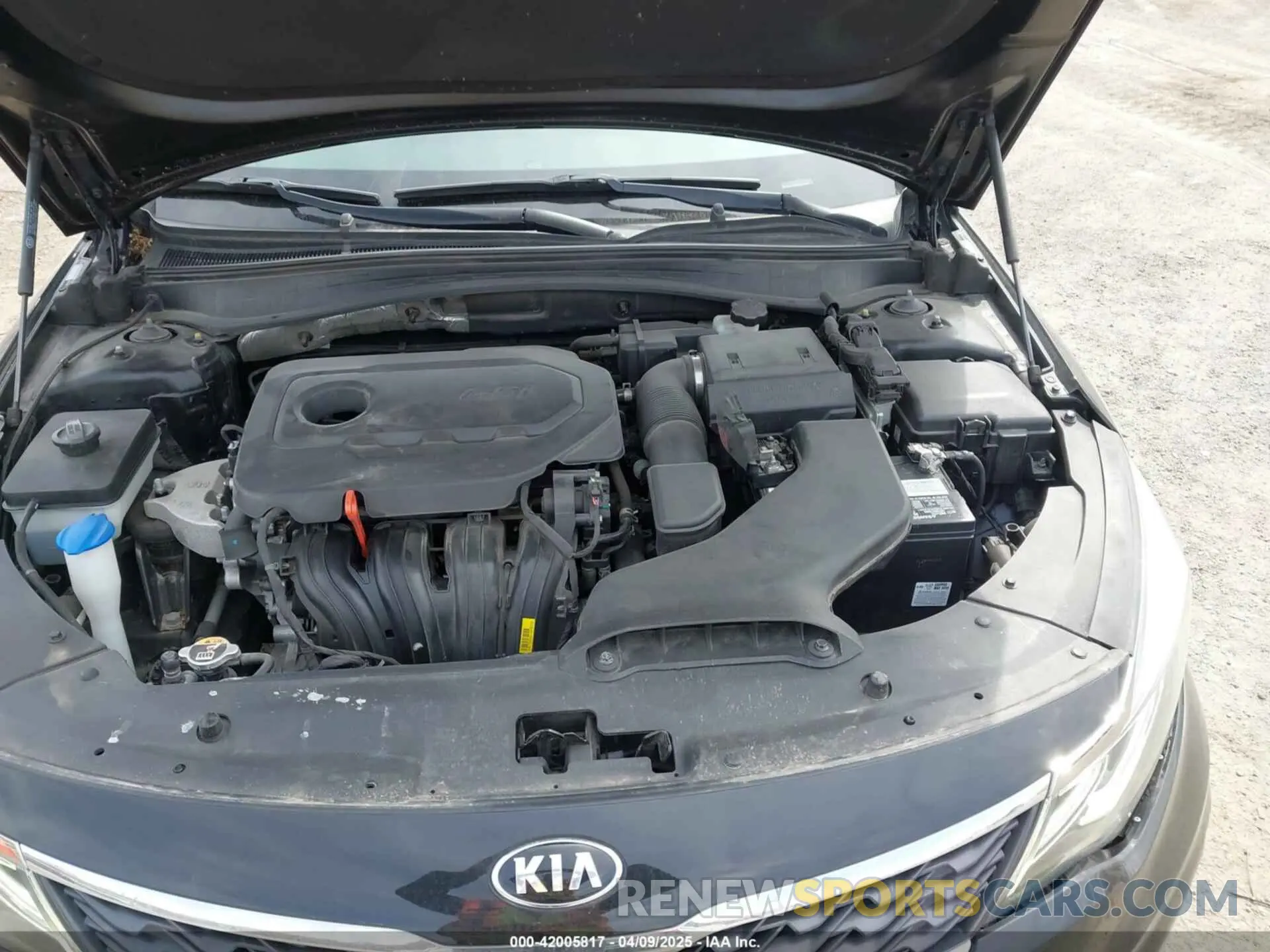 10 fotografías del automóvil dañado 5XXGT4L33KG373375 KIA OPTIMA 2019