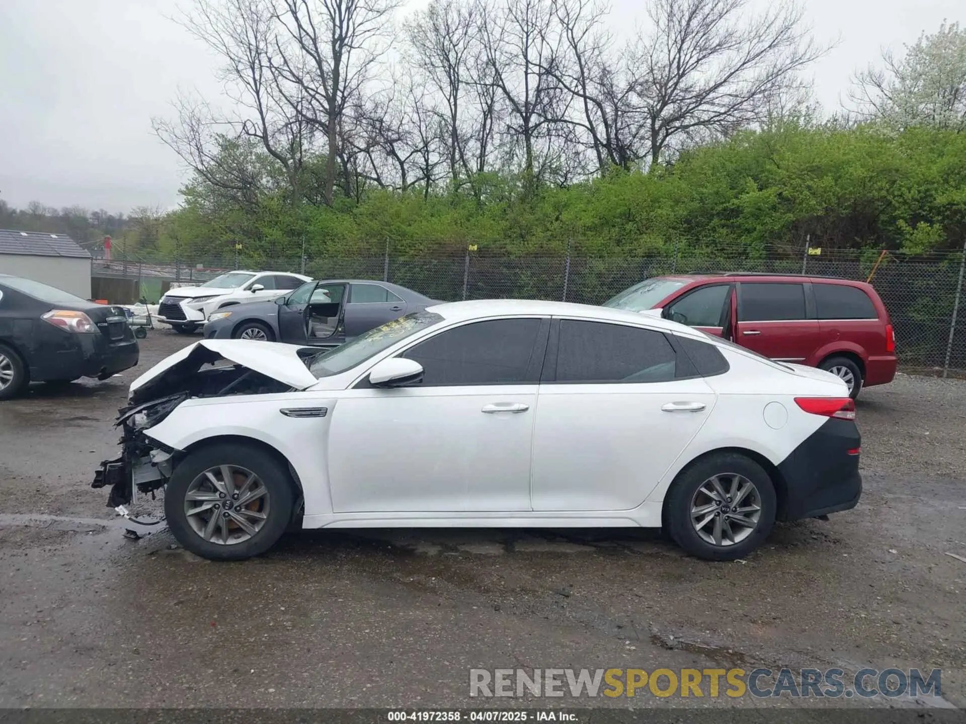 14 fotografías del automóvil dañado 5XXGT4L34KG343284 KIA OPTIMA 2019