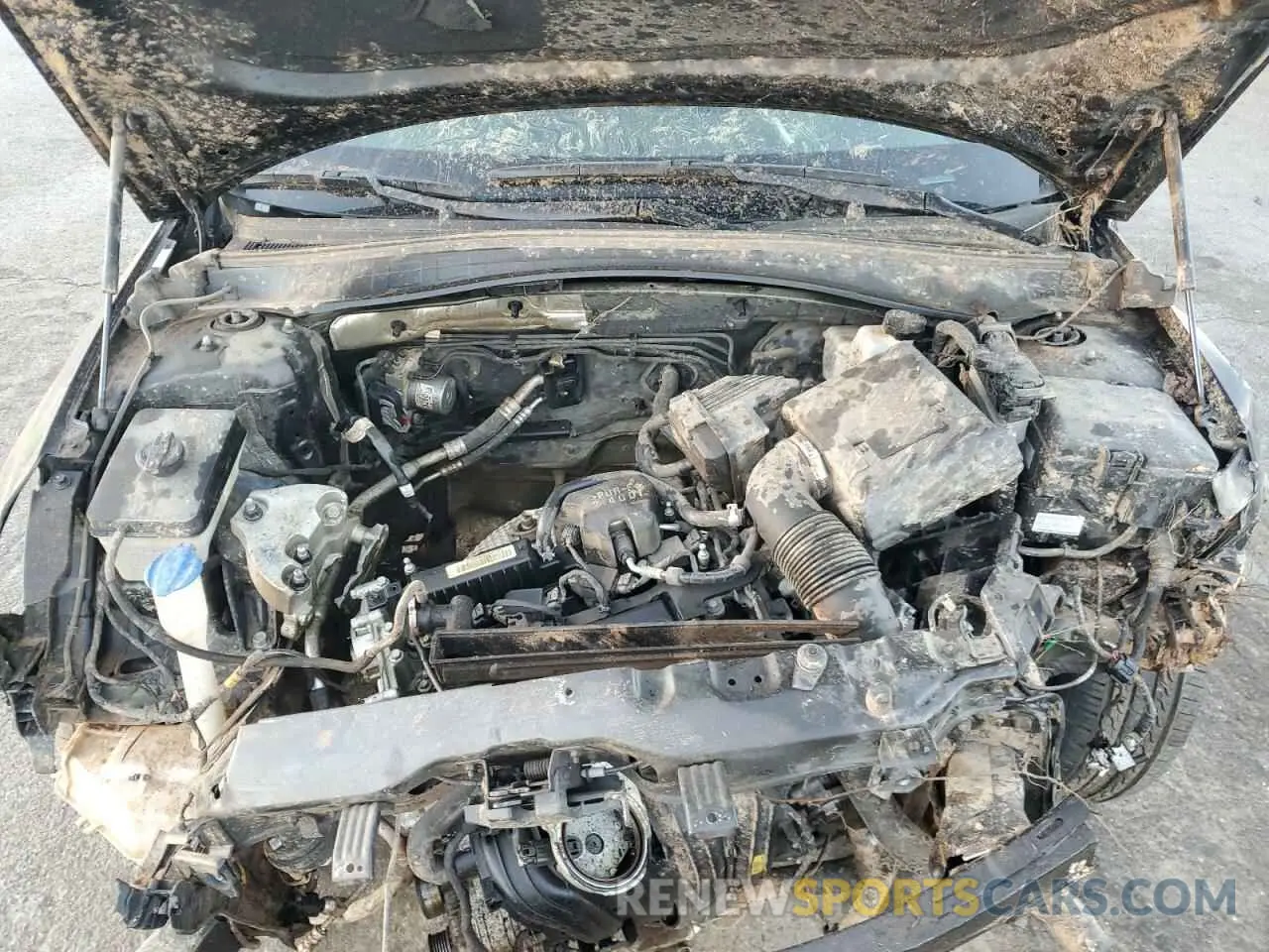 11 fotografías del automóvil dañado 5XXGT4L35KG322931 KIA OPTIMA 2019
