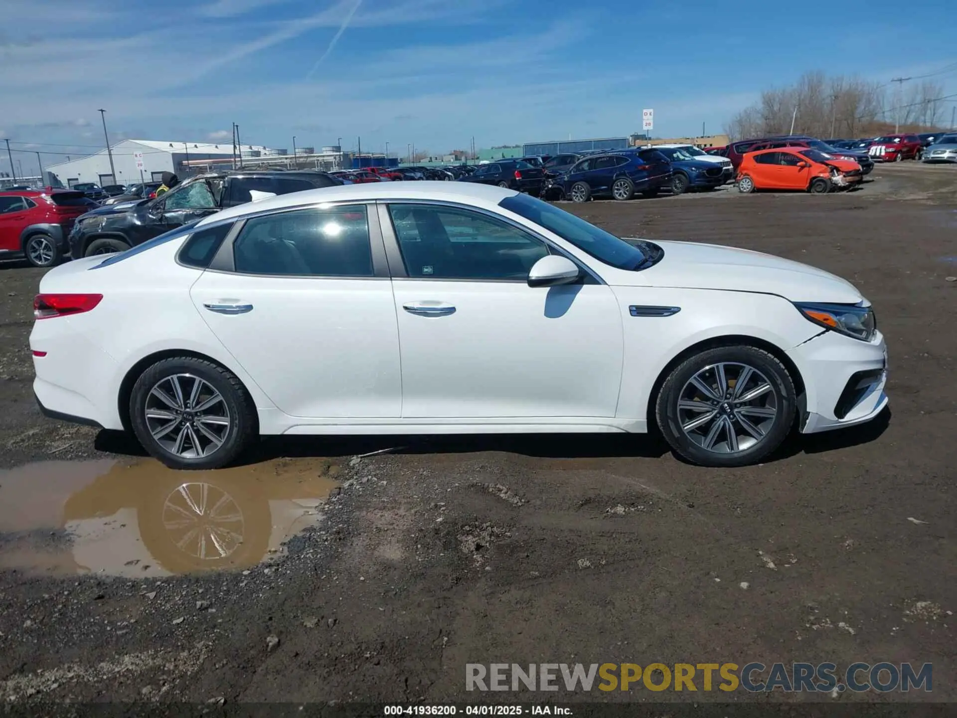 13 fotografías del automóvil dañado 5XXGT4L36KG347689 KIA OPTIMA 2019