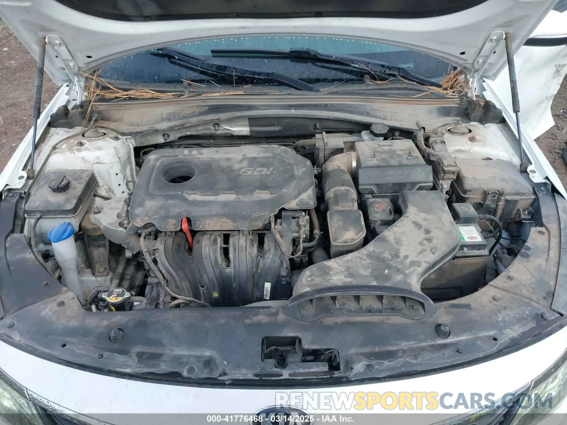 10 fotografías del automóvil dañado 5XXGT4L36KG371992 KIA OPTIMA 2019