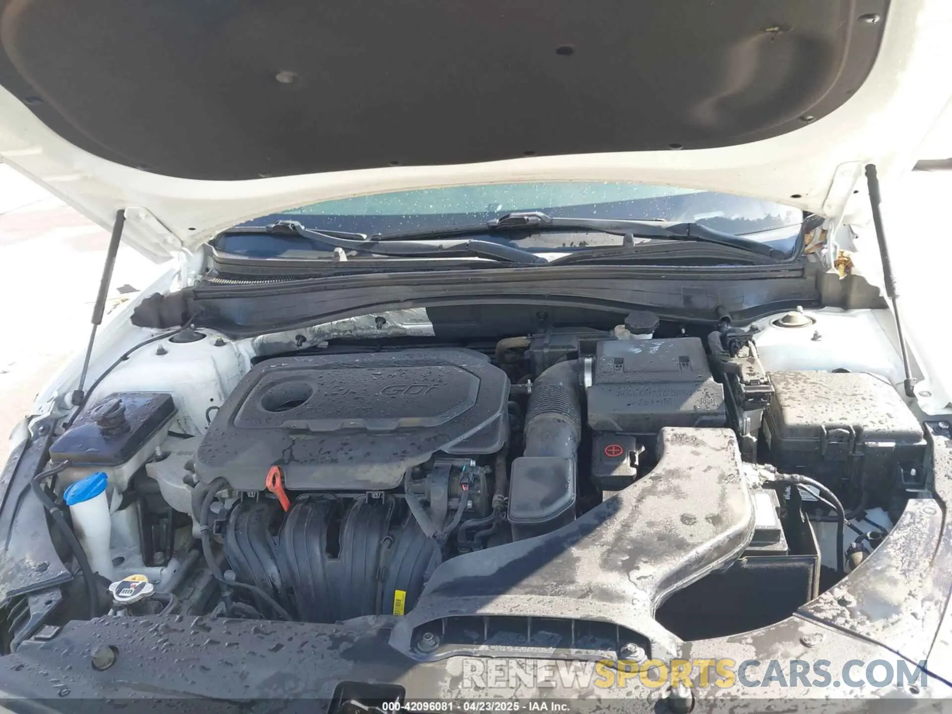 10 fotografías del automóvil dañado 5XXGT4L39KG322754 KIA OPTIMA 2019