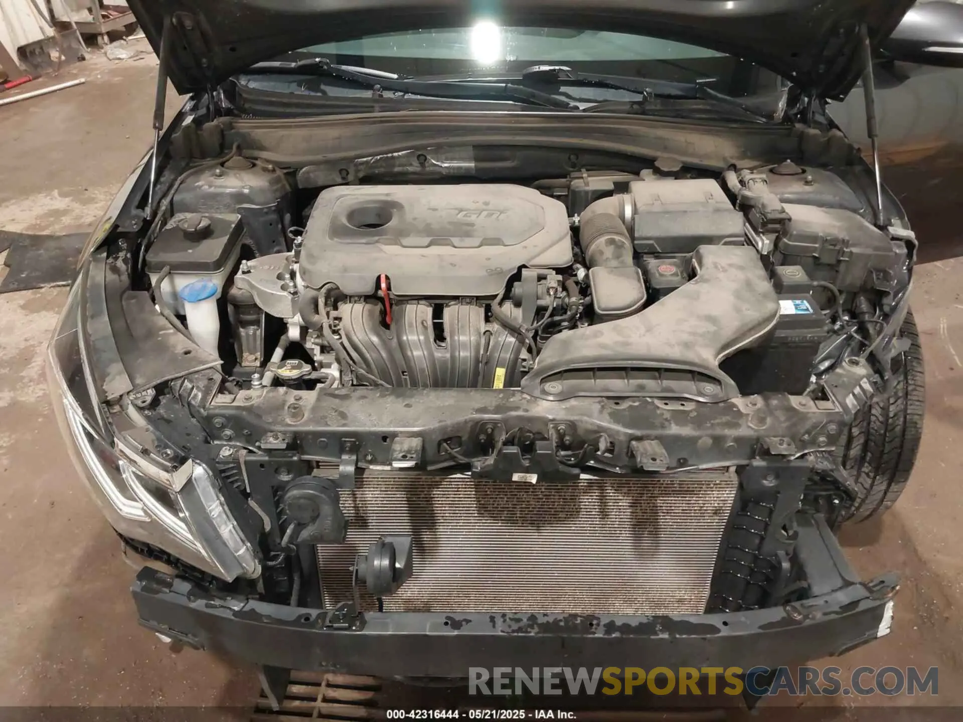 10 fotografías del automóvil dañado 5XXGT4L3XKG282555 KIA OPTIMA 2019