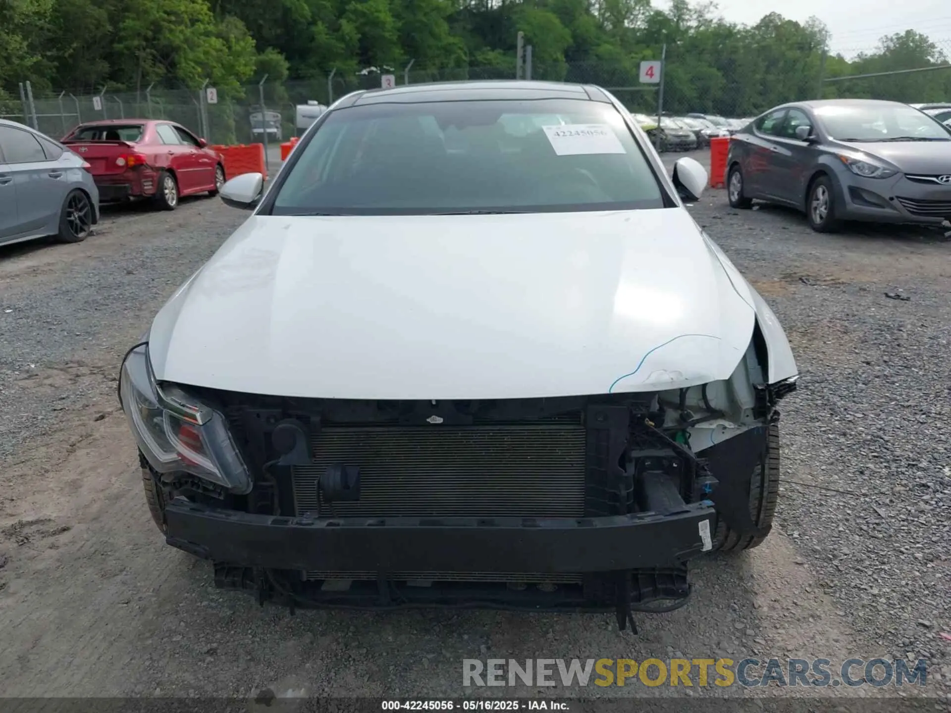 12 fotografías del automóvil dañado 5XXGT4L3XKG294267 KIA OPTIMA 2019