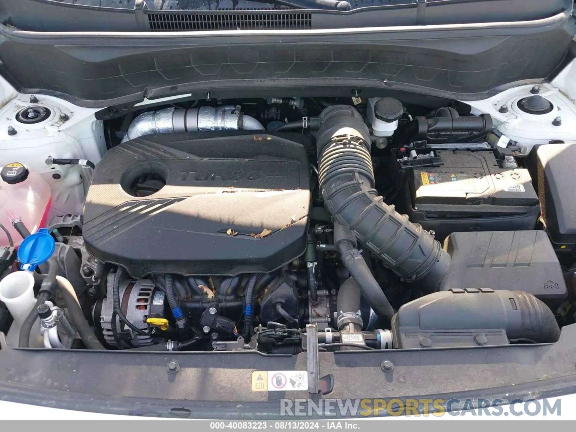 10 fotografías del automóvil dañado KNDETCA23M7175659 KIA SELTOS 2021