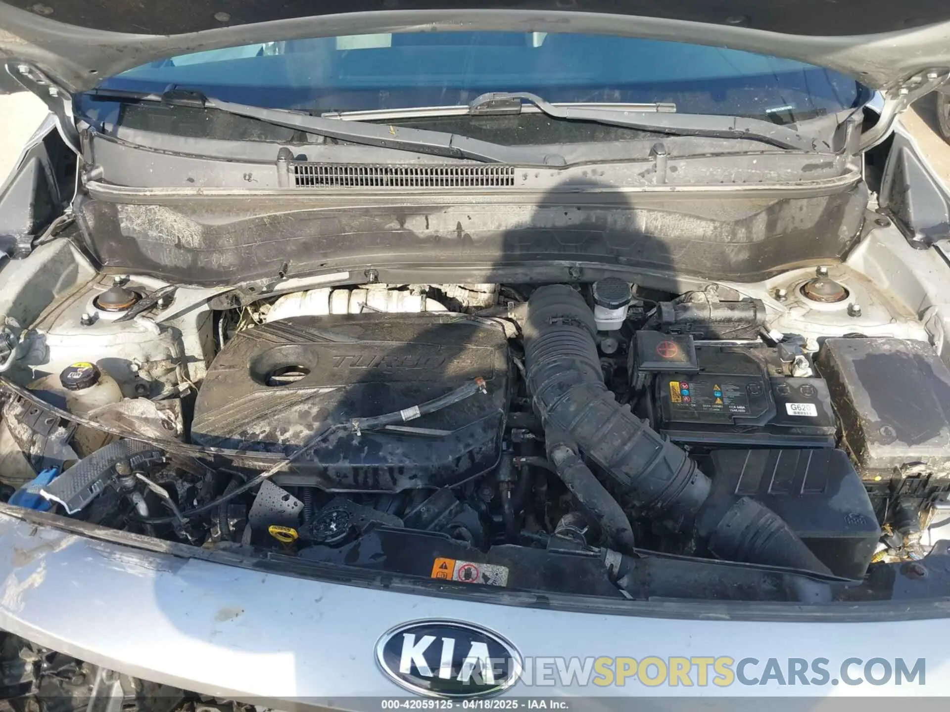 10 fotografías del automóvil dañado KNDETCA25M7073876 KIA SELTOS 2021