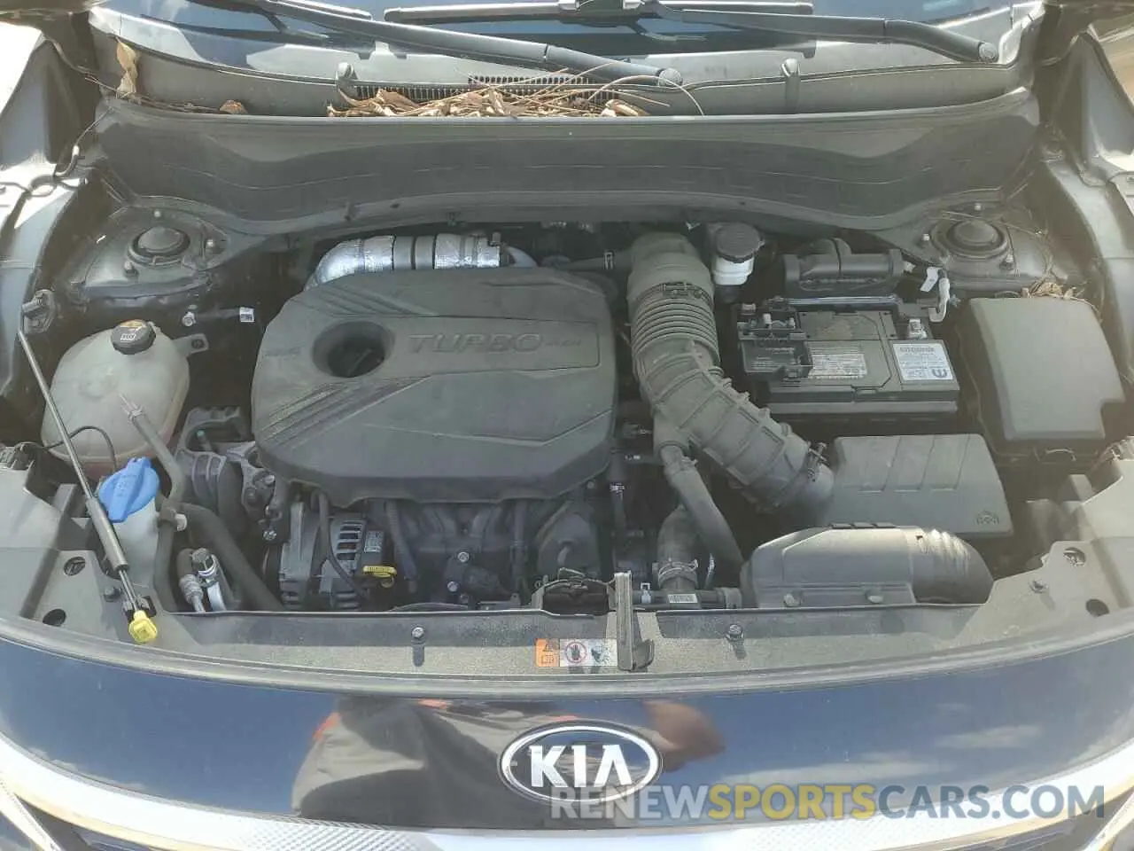 11 fotografías del automóvil dañado KNDETCA26M7140887 KIA SELTOS 2021