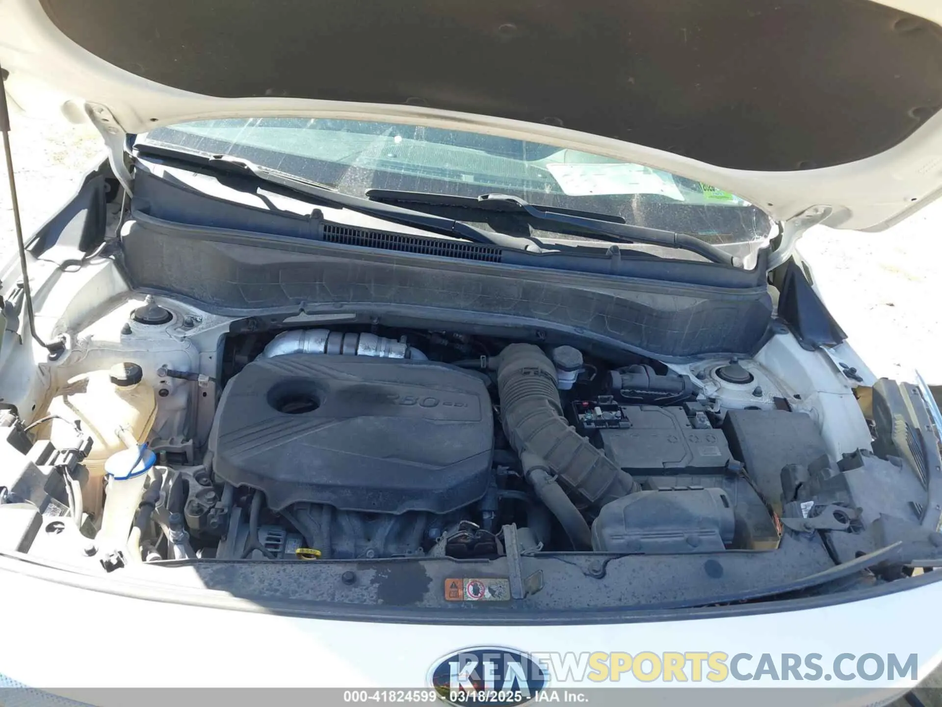 10 fotografías del automóvil dañado KNDETCA28M7206615 KIA SELTOS 2021