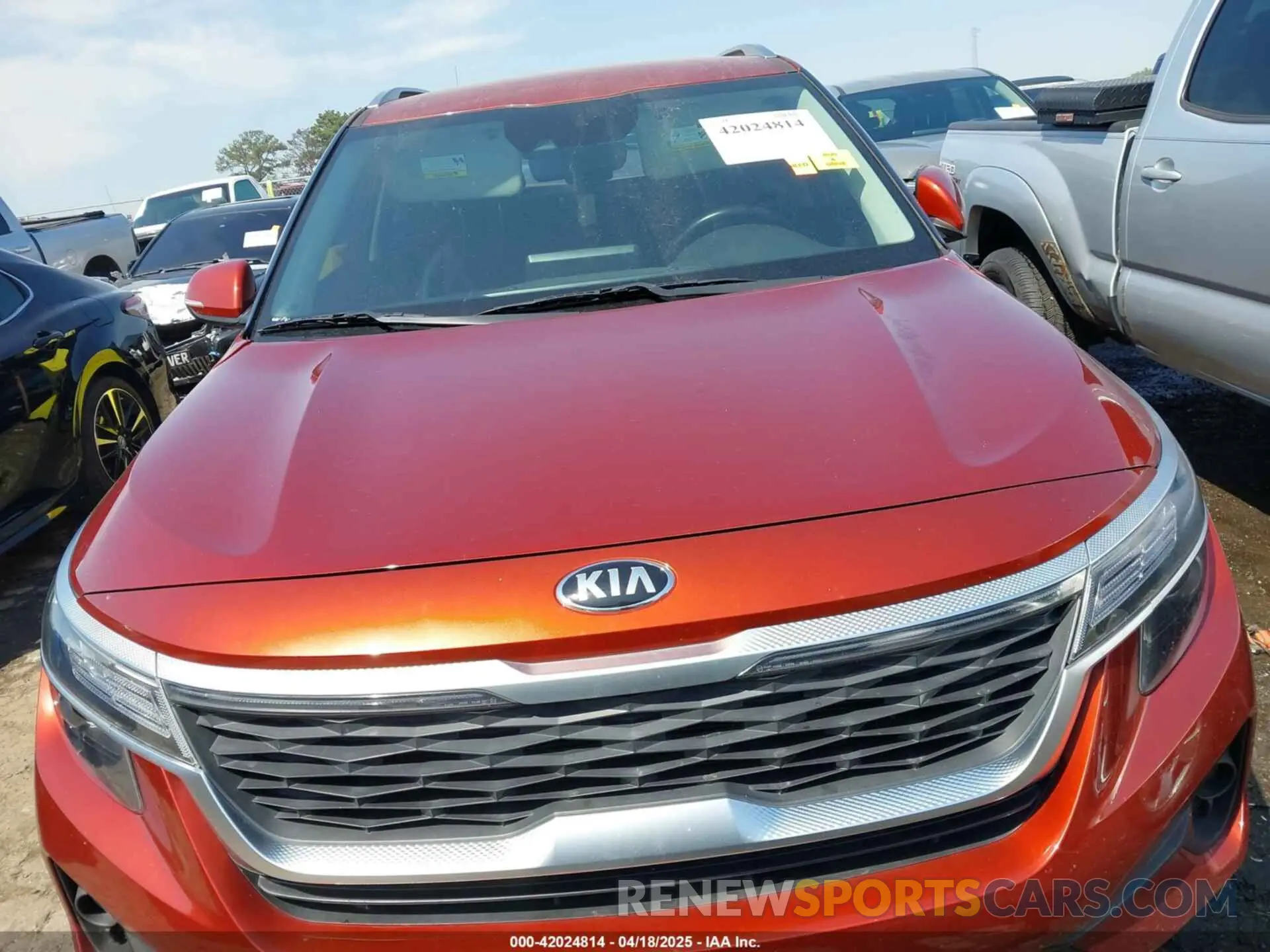 12 fotografías del automóvil dañado KNDEU2AA1M7159622 KIA SELTOS 2021