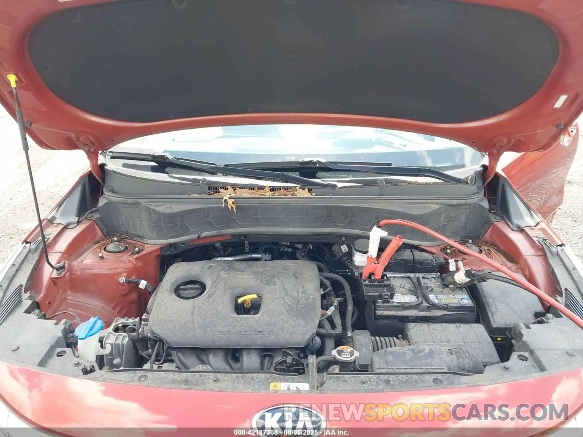 10 fotografías del automóvil dañado KNDEUCAA9M7074842 KIA SELTOS 2021