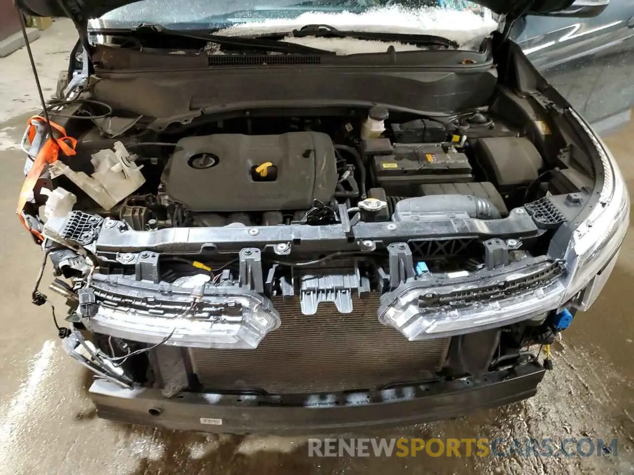 12 fotografías del automóvil dañado KNDERCAA0R7528663 KIA SELTOS 2024
