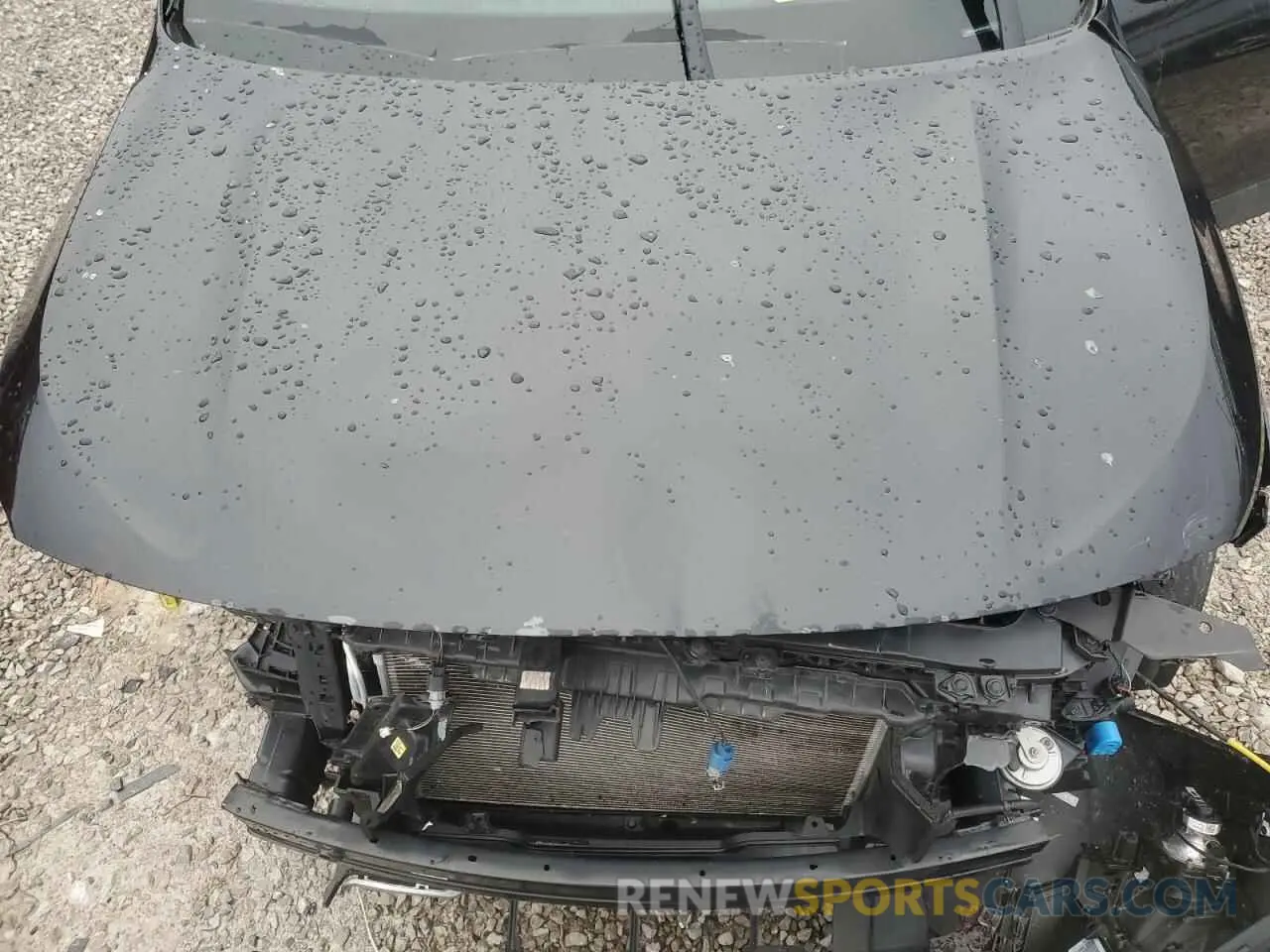 12 fotografías del automóvil dañado KNDERCAA7R7527669 KIA SELTOS 2024