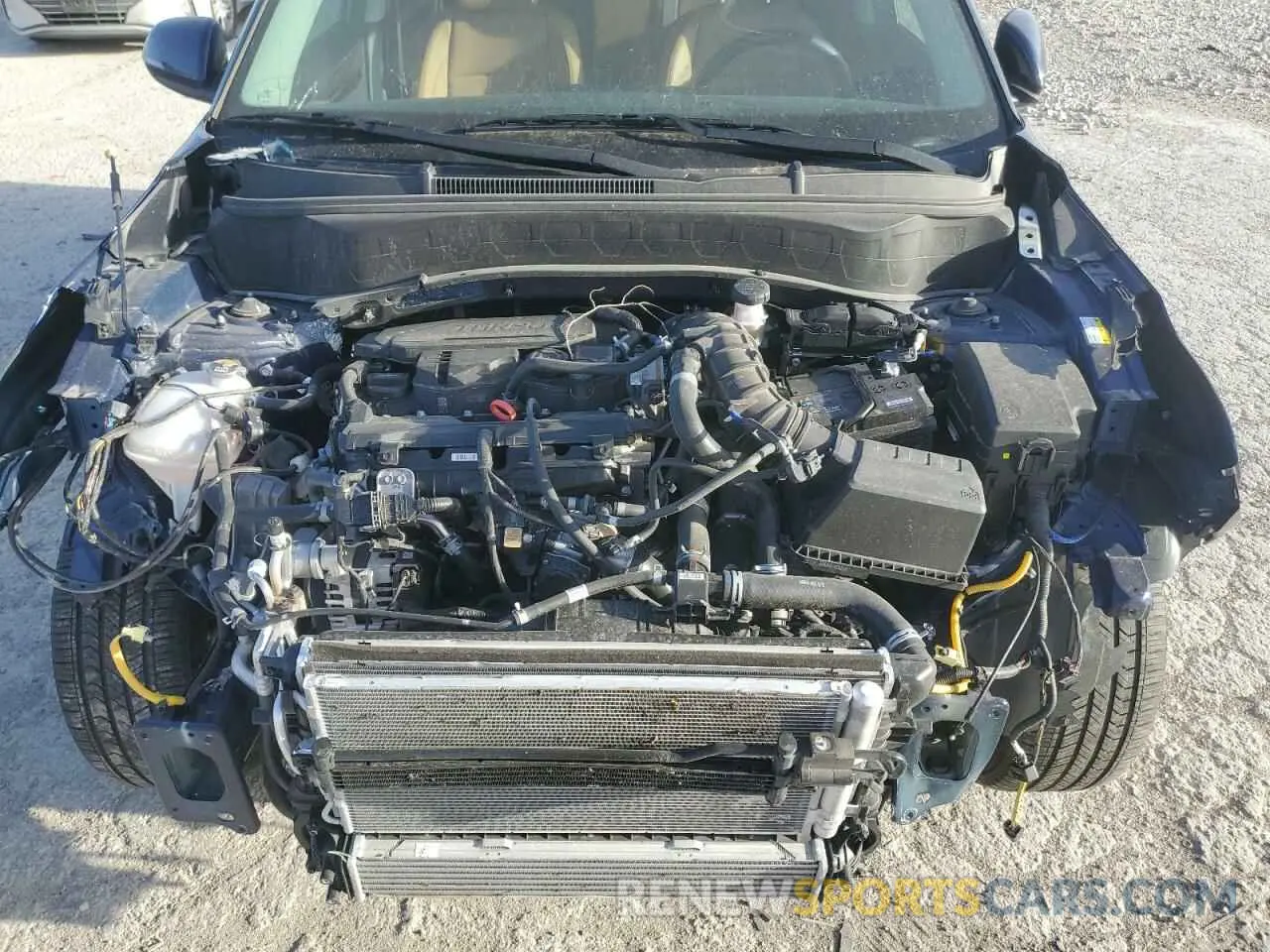 12 fotografías del automóvil dañado KNDETCA70R7631362 KIA SELTOS 2024