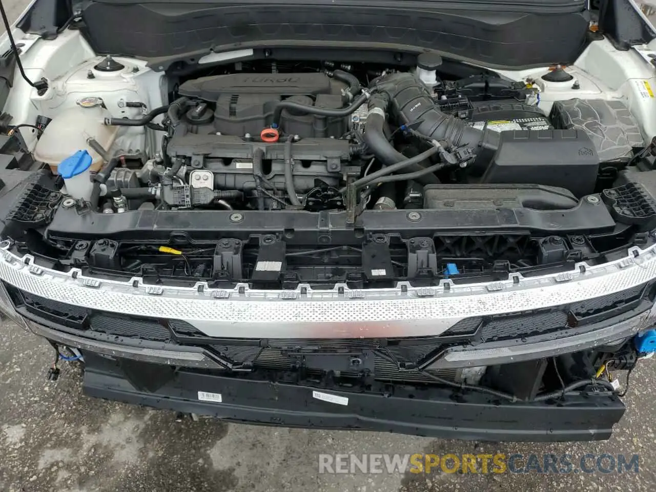 12 fotografías del automóvil dañado KNDETCA71R7553593 KIA SELTOS 2024