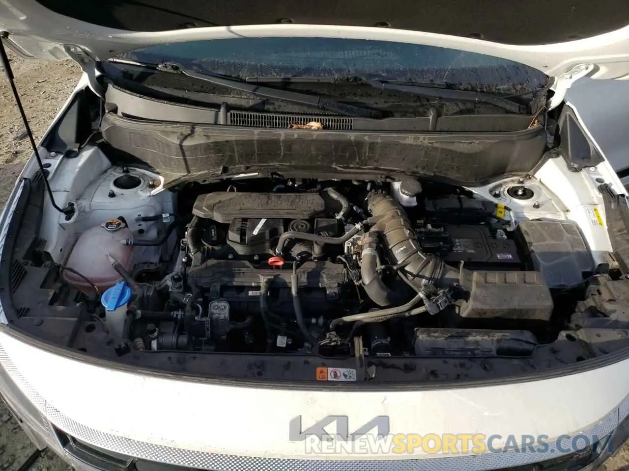12 fotografías del automóvil dañado KNDETCA72R7488575 KIA SELTOS 2024