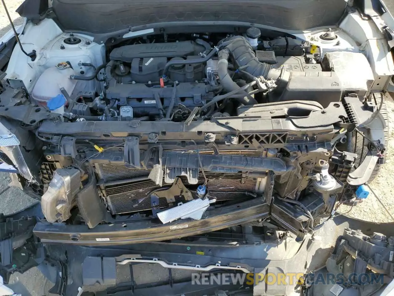11 fotografías del automóvil dañado KNDETCA73R7478699 KIA SELTOS 2024