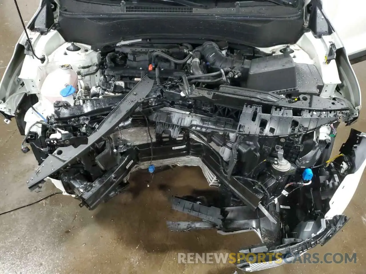 12 fotografías del automóvil dañado KNDETCA77R7564730 KIA SELTOS 2024