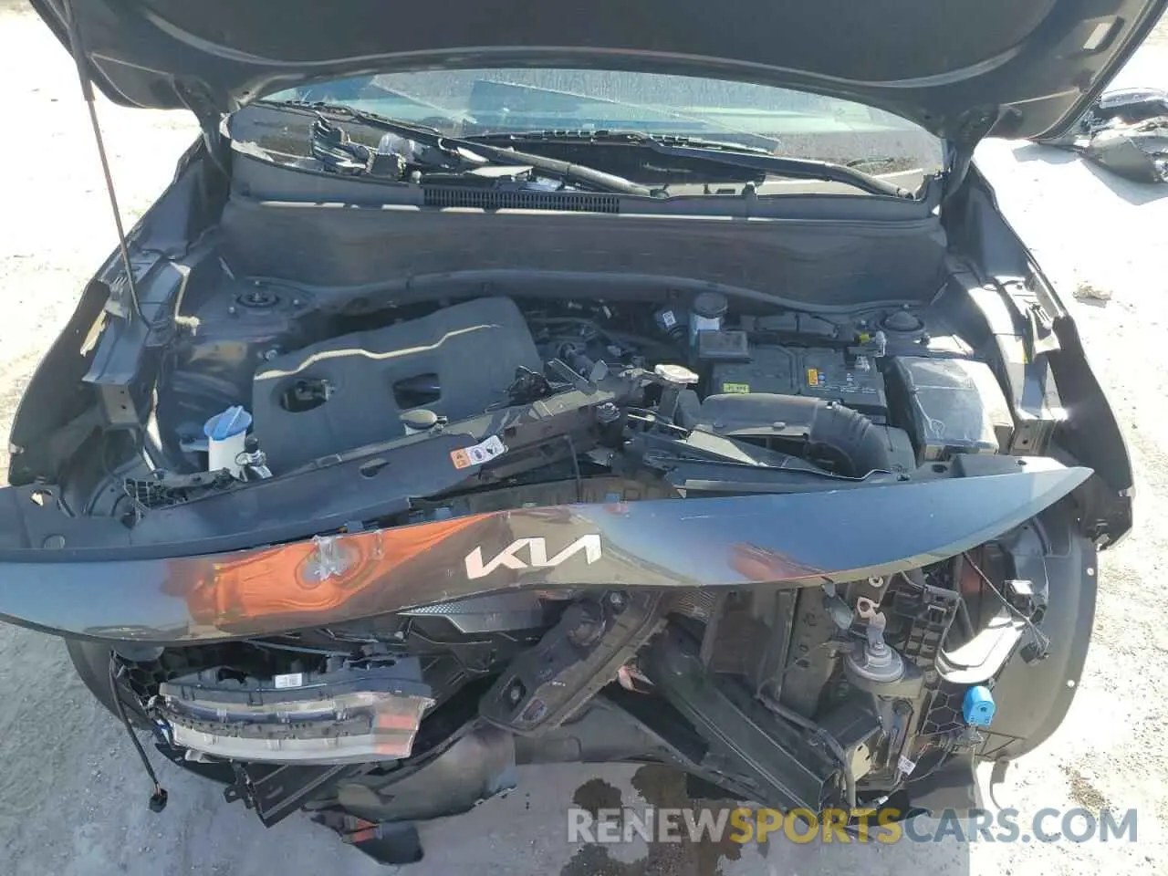 13 fotografías del automóvil dañado KNDEU2AAXR7478718 KIA SELTOS 2024